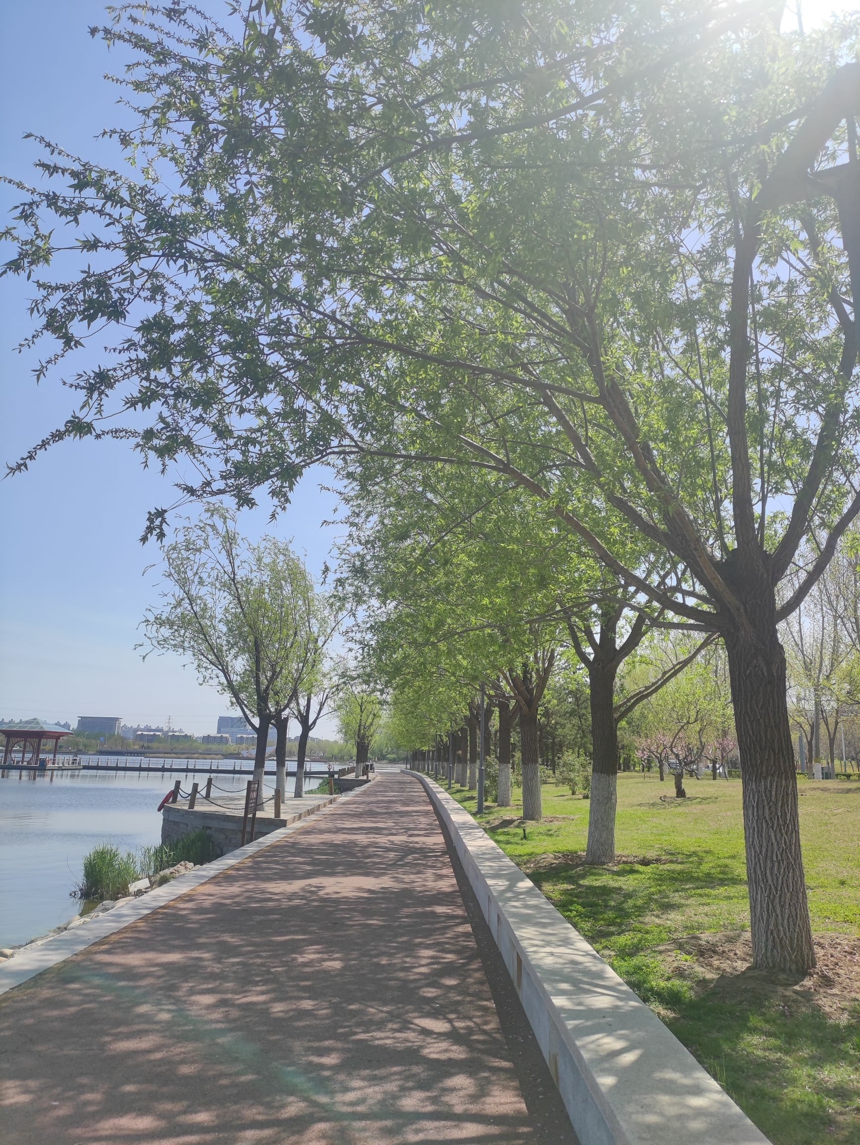 秋月湖公园旅行图片 2