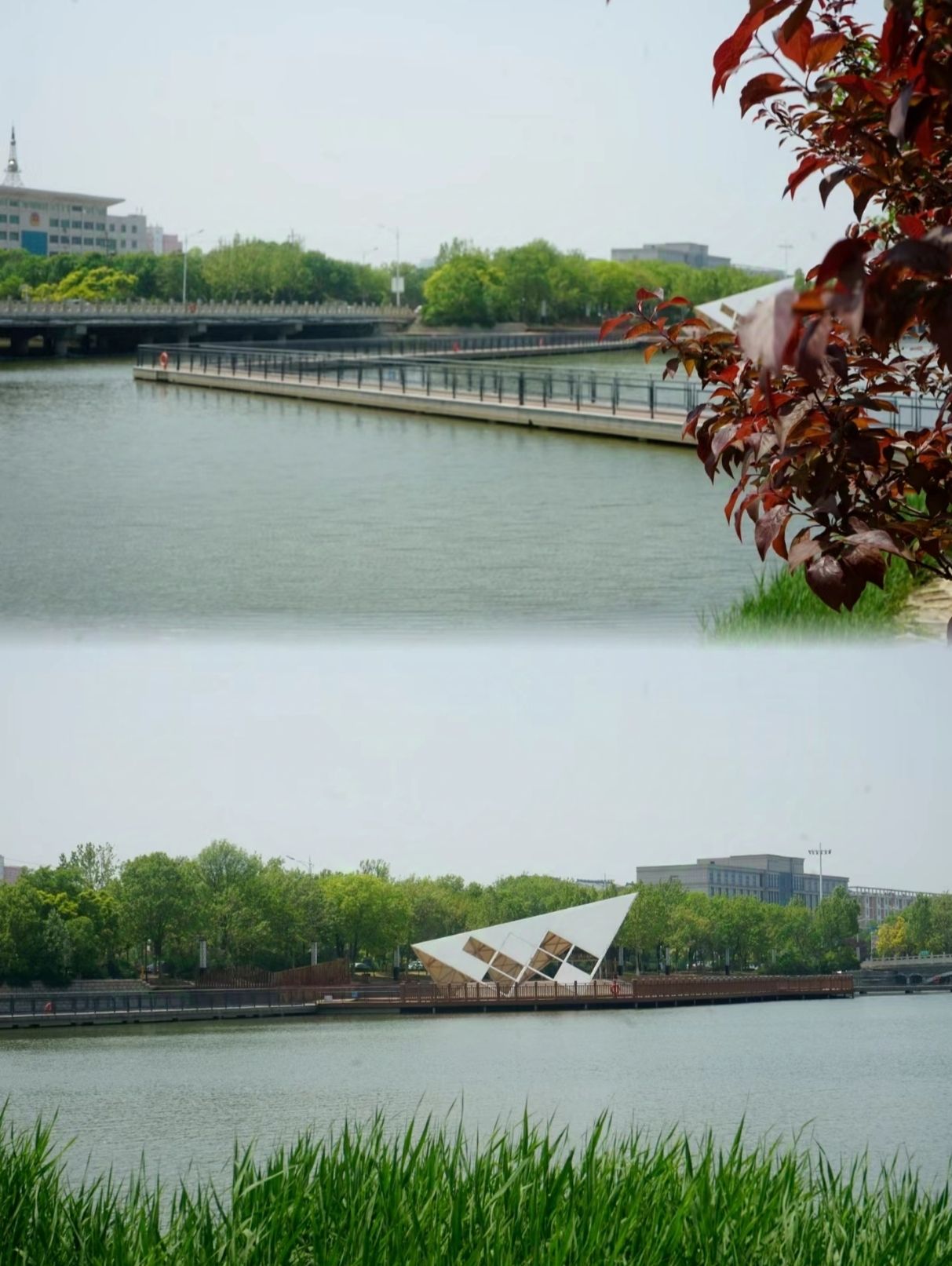 秋月湖公园旅行图片 2