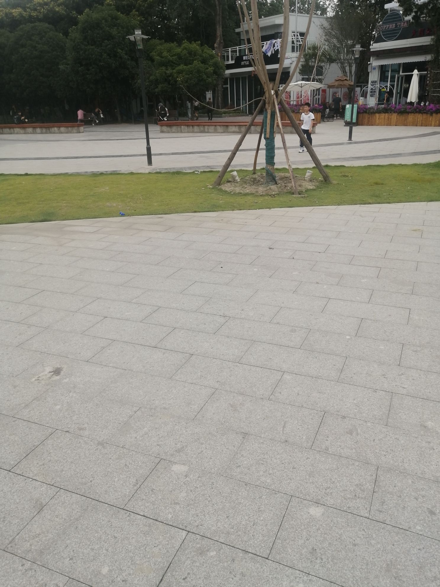 久居福运动公园旅行图片 3