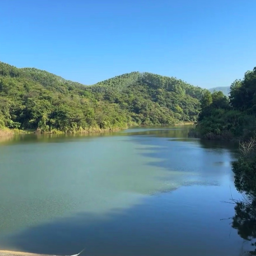 桐口钓鱼场