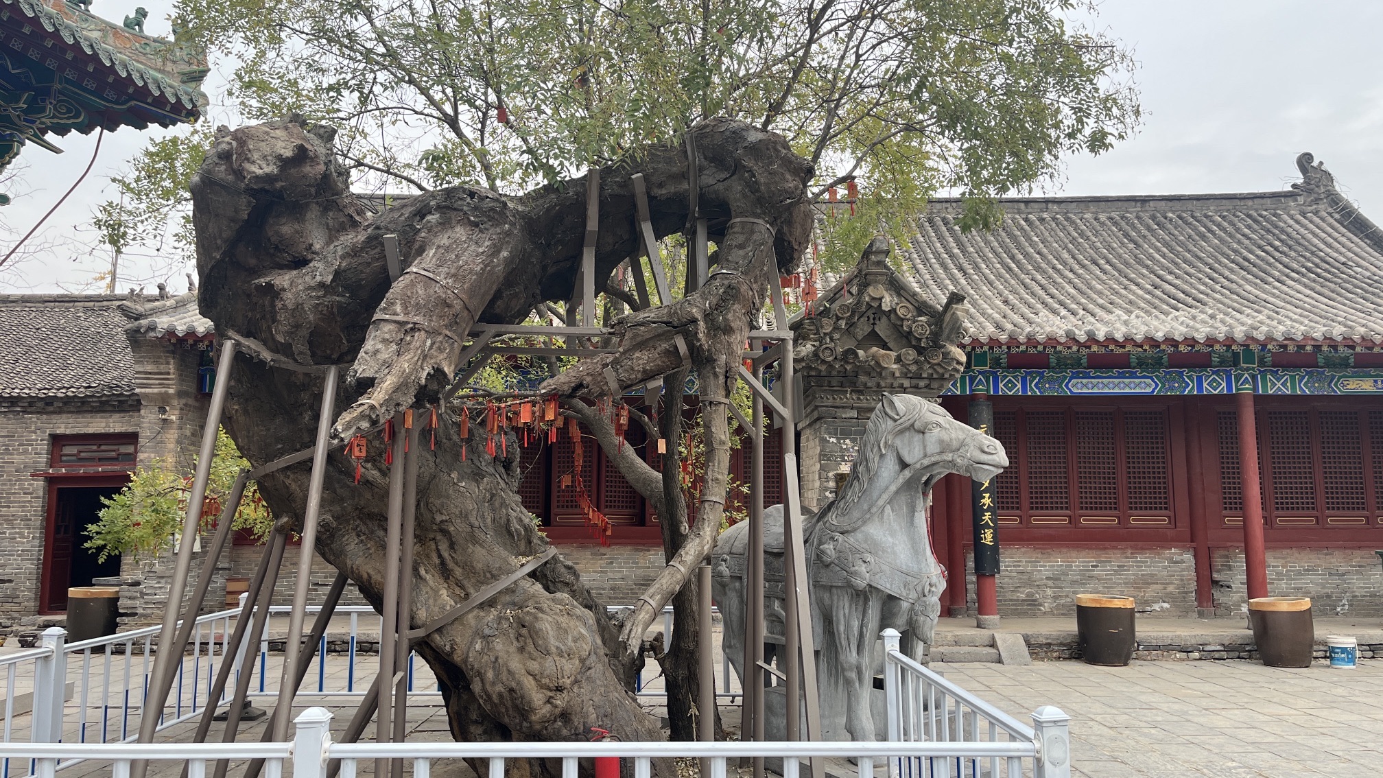 中国陈桥宋源湖景区旅行图片 1