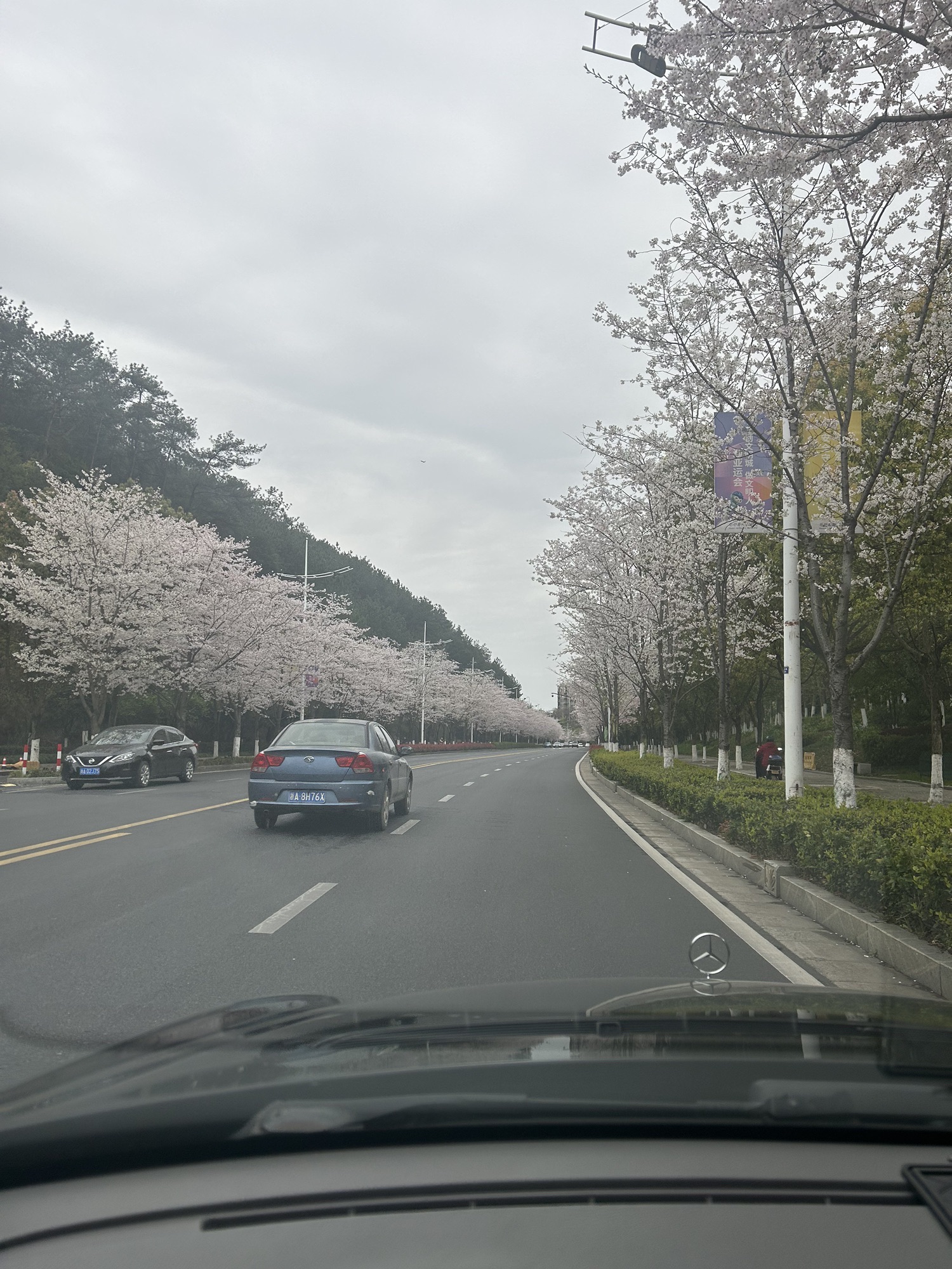 千岛湖大千古街慢生活休闲港湾旅行图片 2