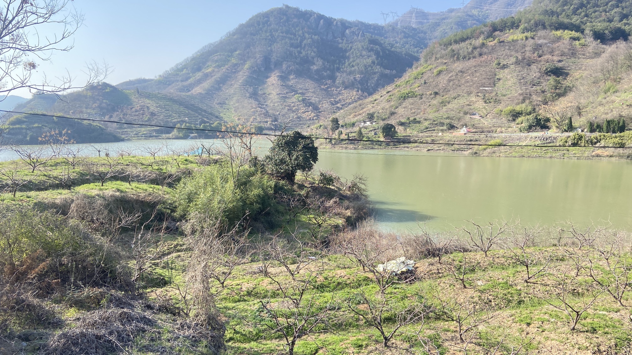 浙中桃花源景区旅行图片 3