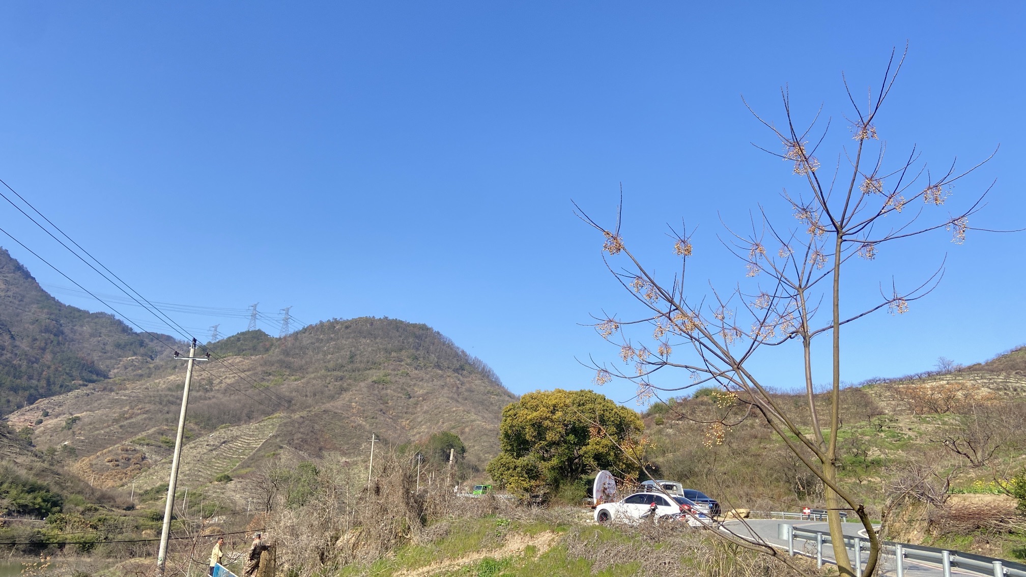 浙中桃花源景区旅行图片 2