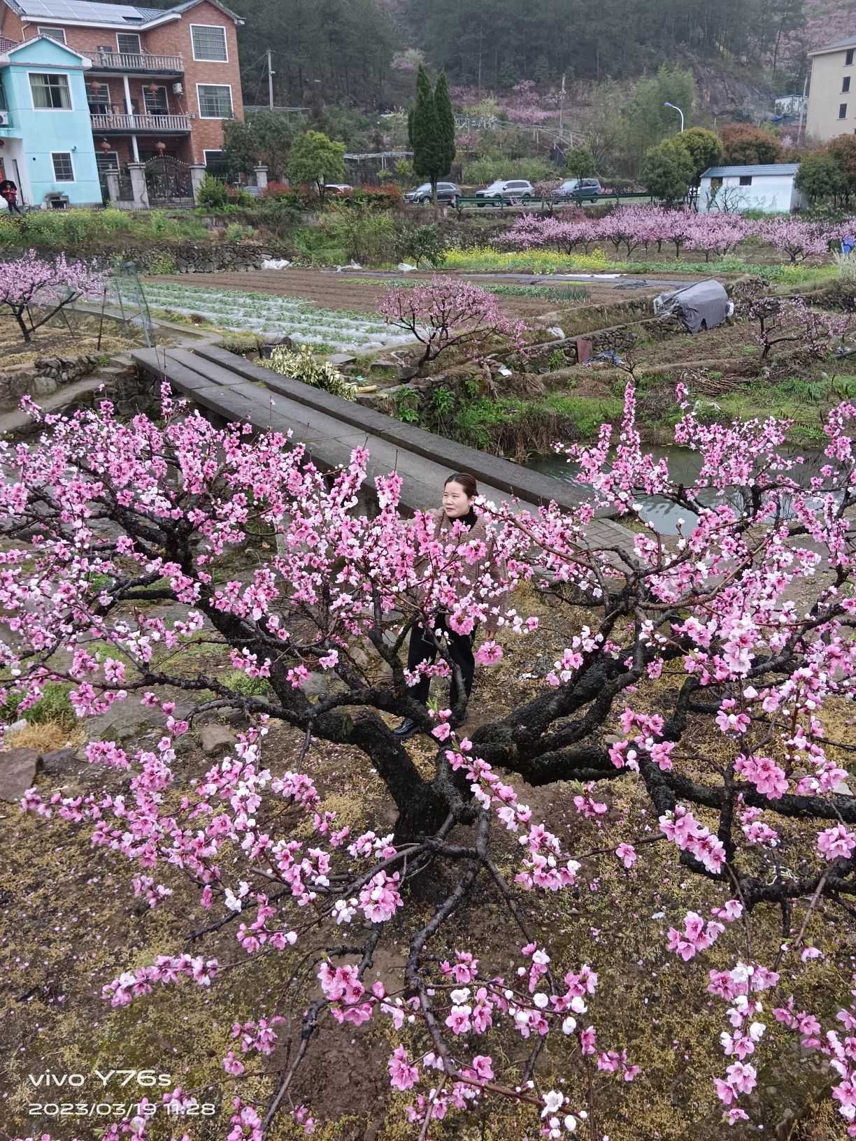 浙中桃花源景区旅行图片 1