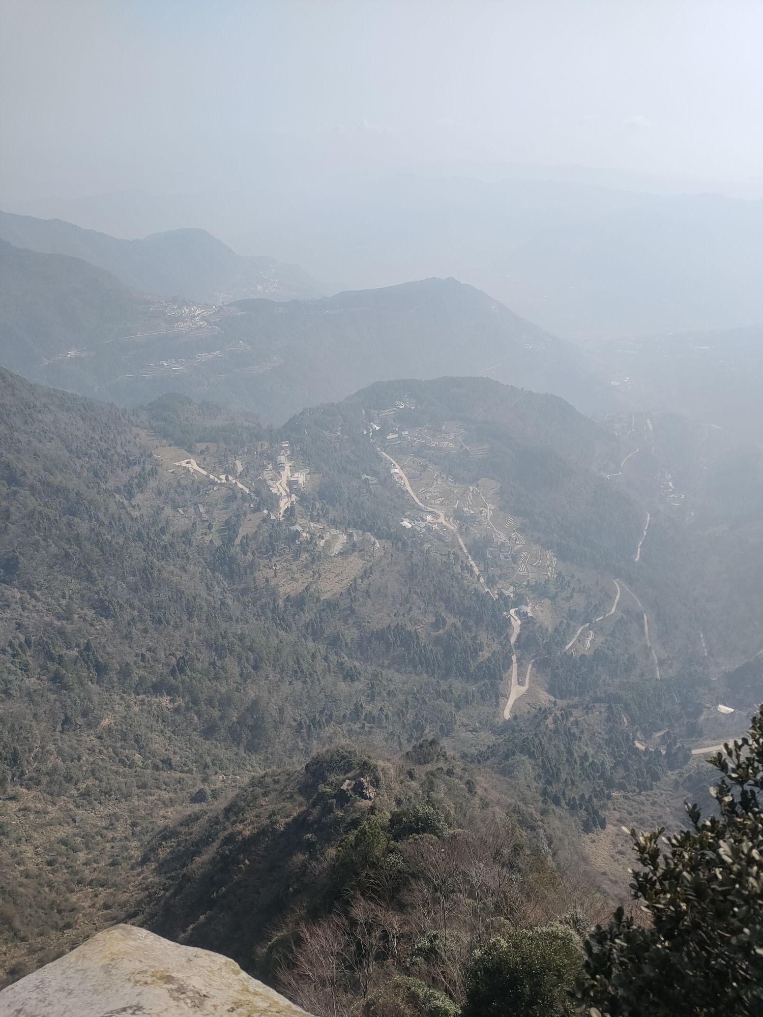 云顶茶乡风景区旅行图片 2