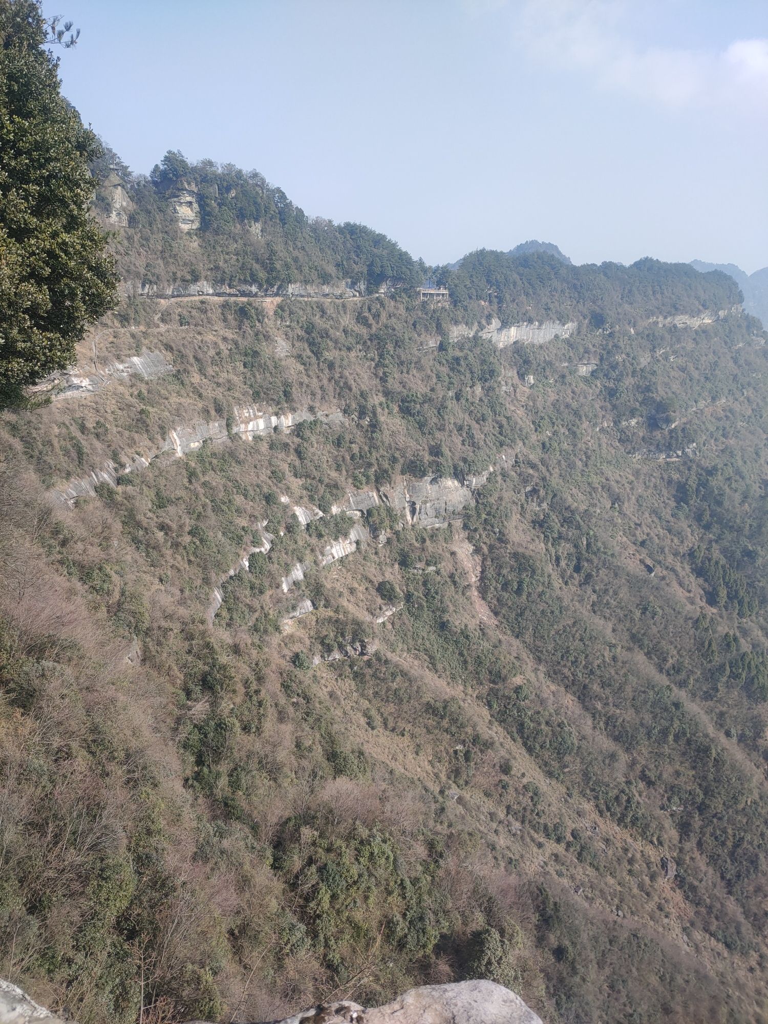 云顶茶乡风景区旅行图片