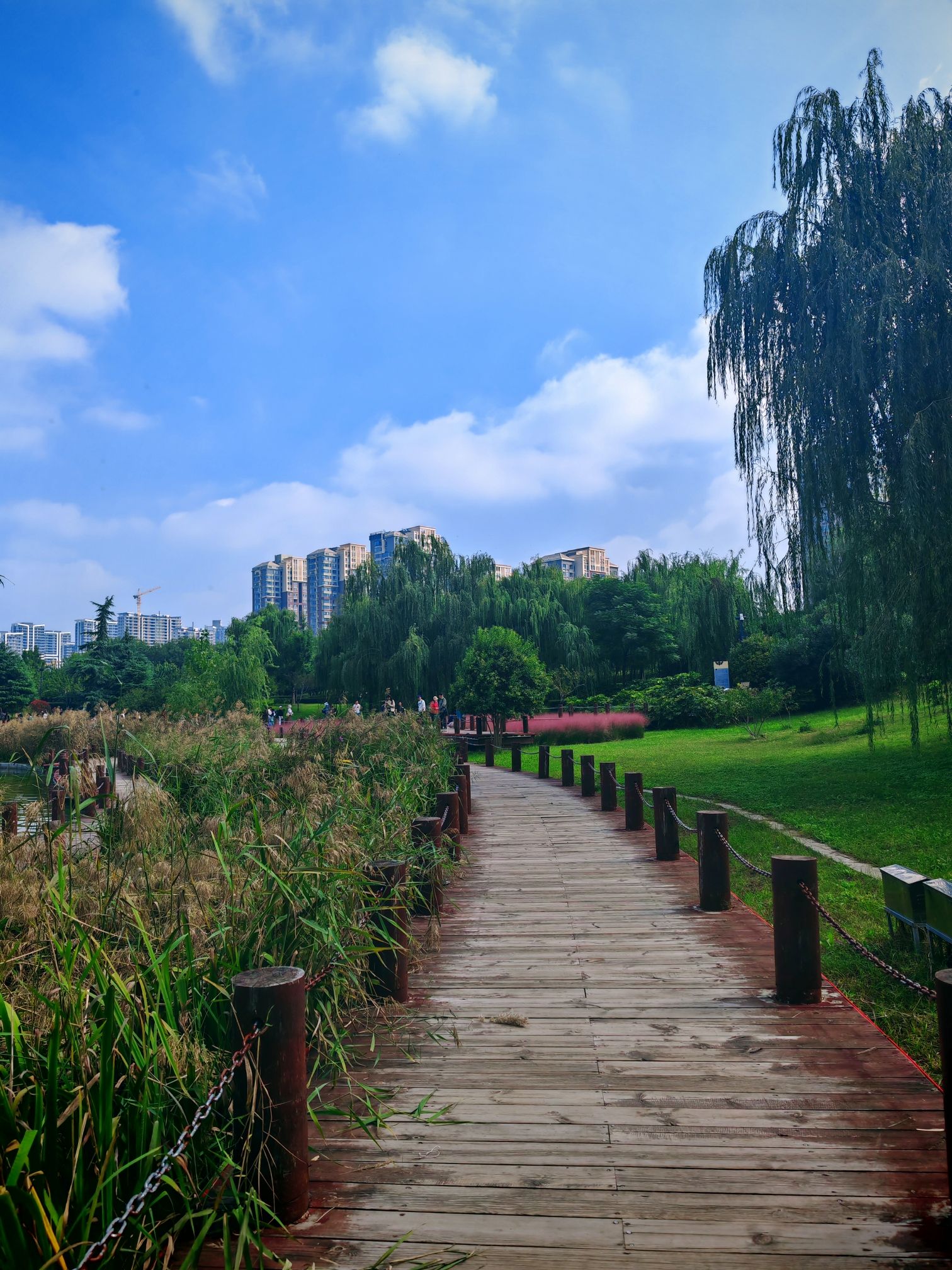 楼台明月旅行图片 1