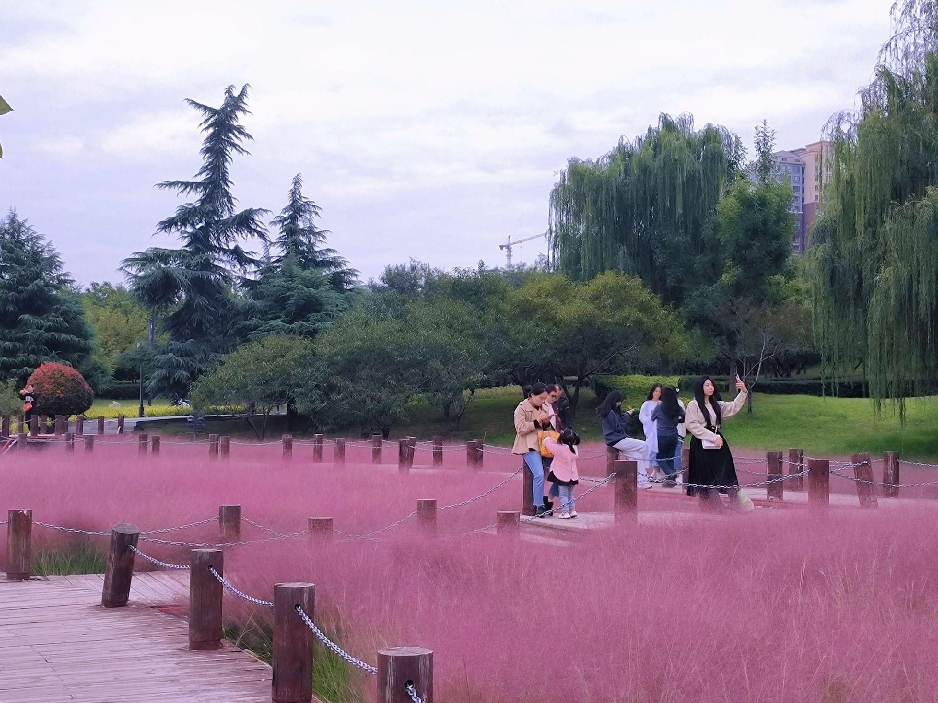 楼台明月旅行图片 2