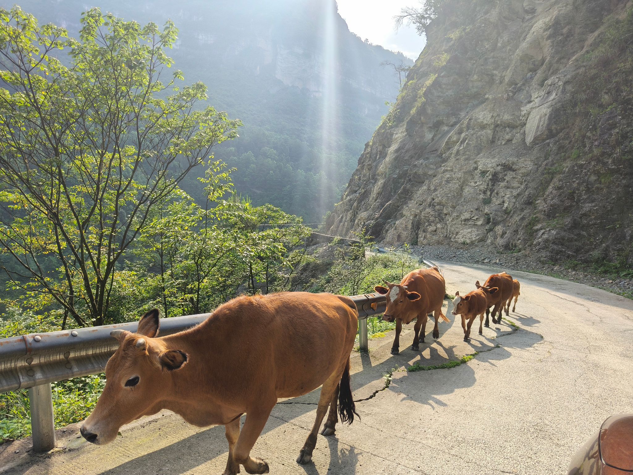 鸡尾山地质公园旅行图片 2