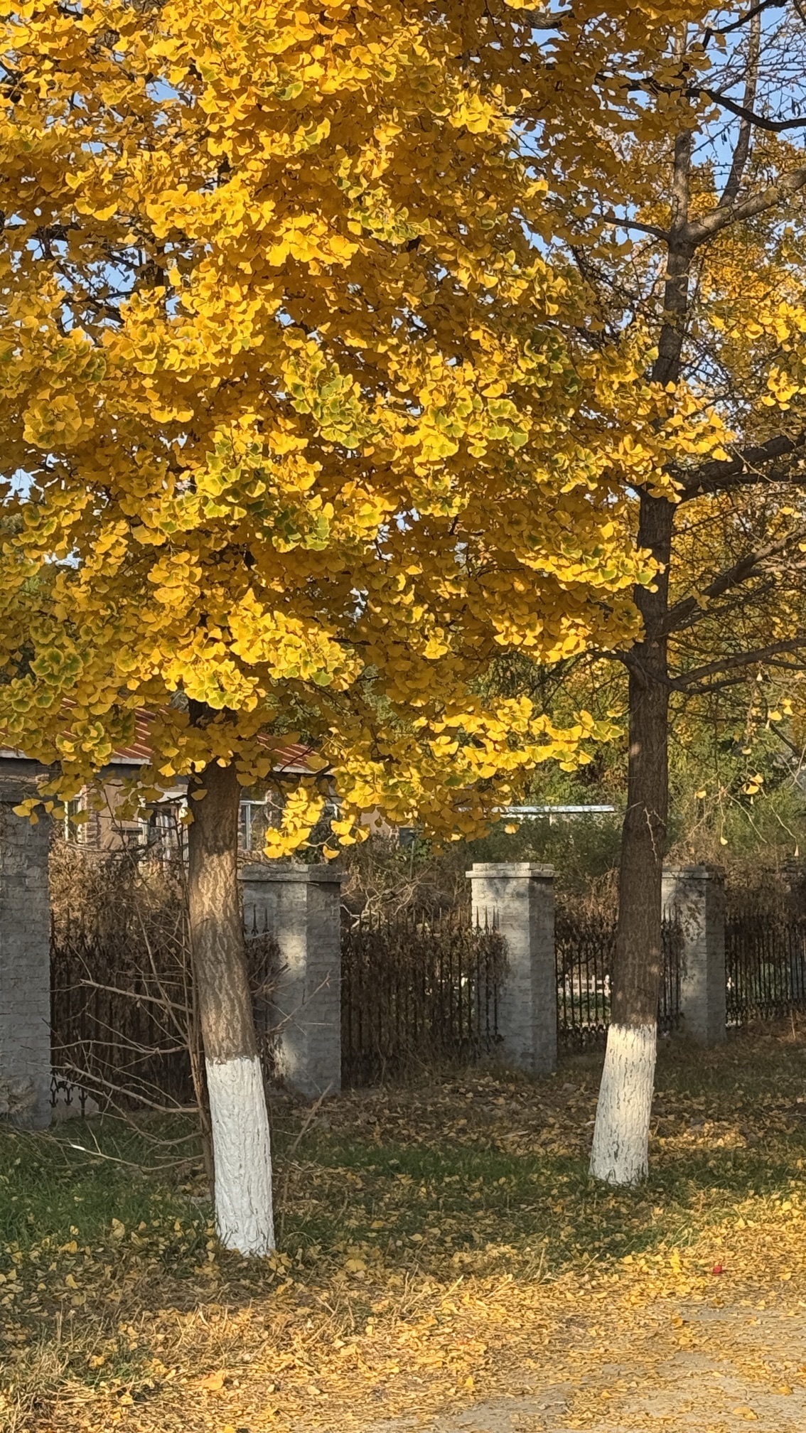 太阳沟风景区旅行图片 1