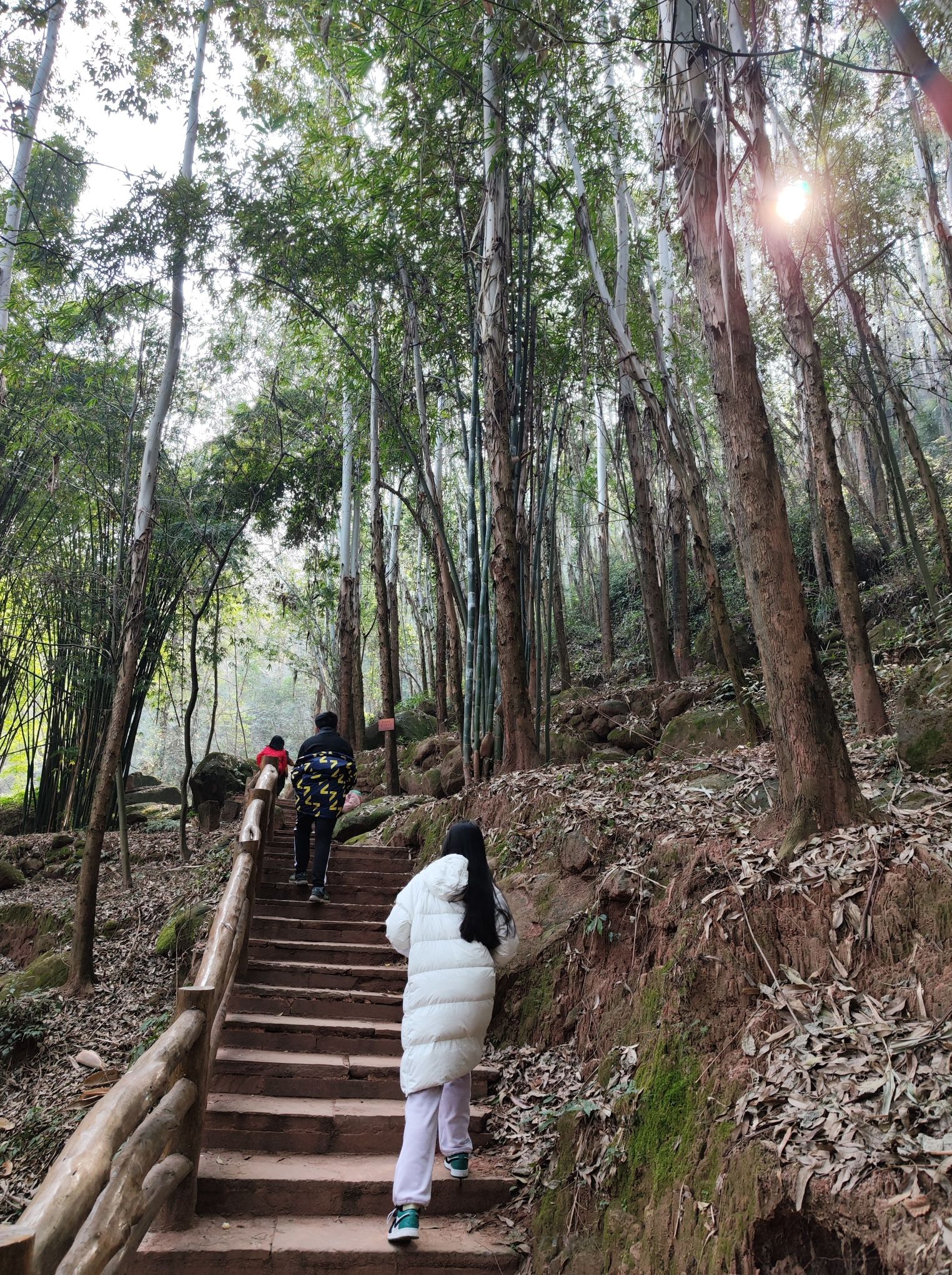 幸福古村旅行图片 3