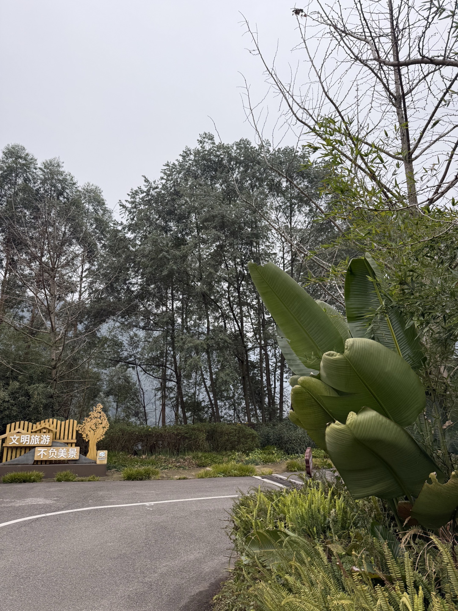 幸福古村旅行图片 1