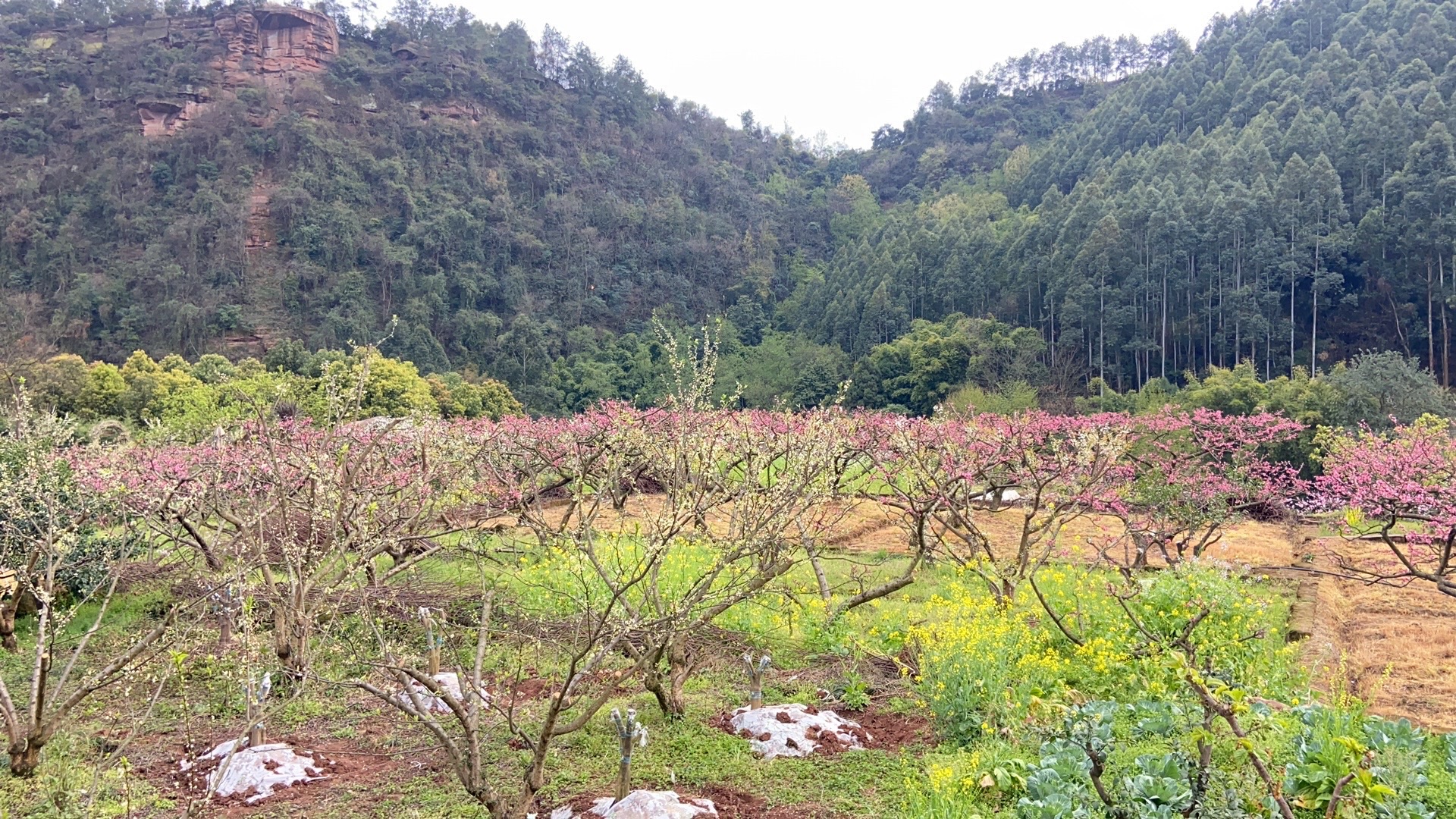 幸福古村旅行图片 1