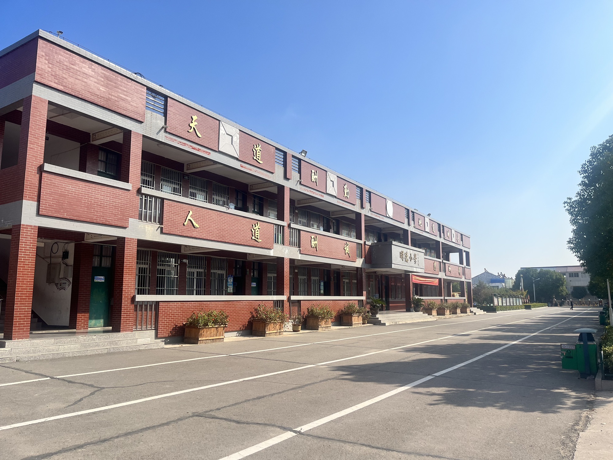 青山中心小学