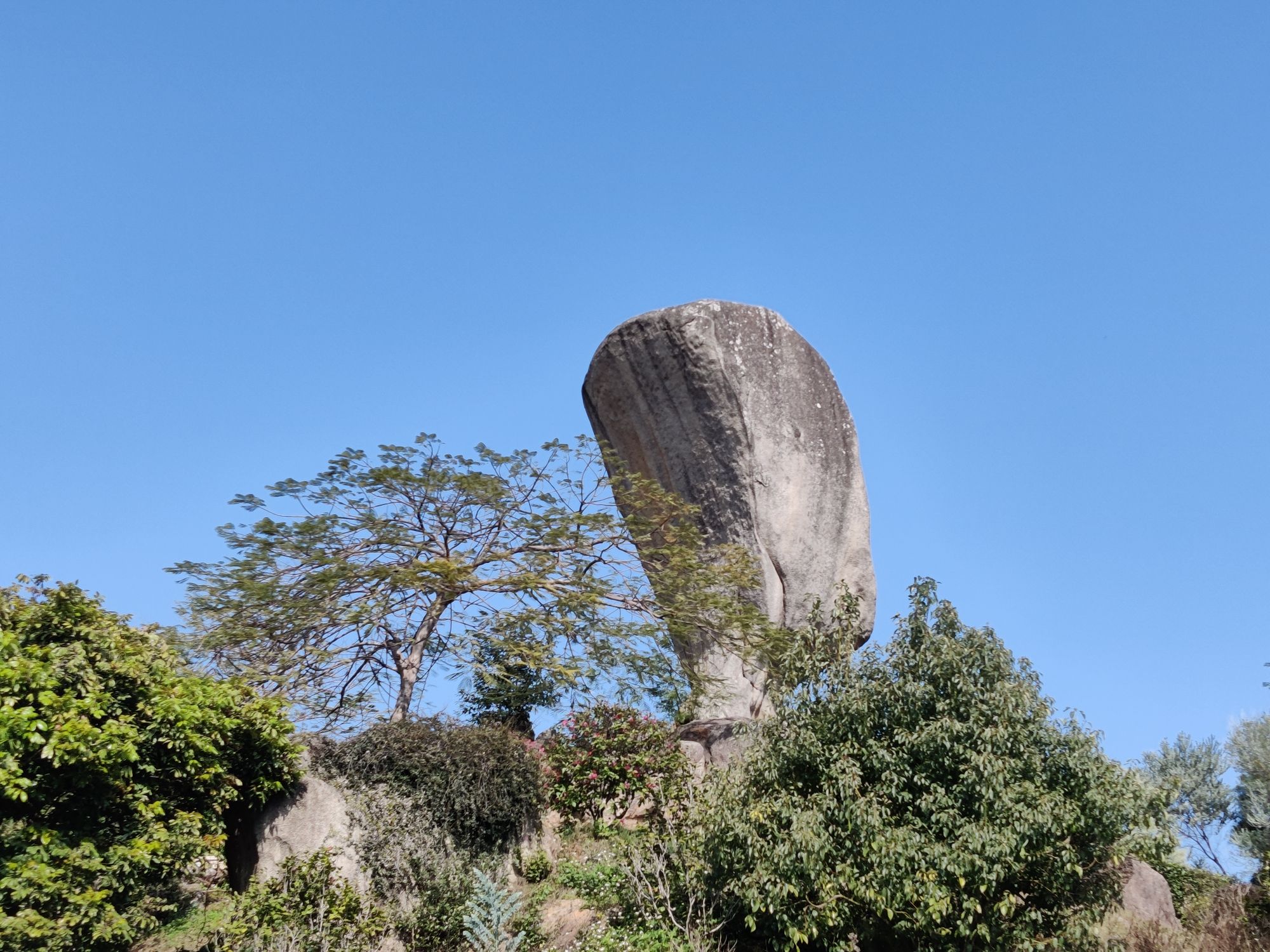 玉笏朝天公园旅行图片 1