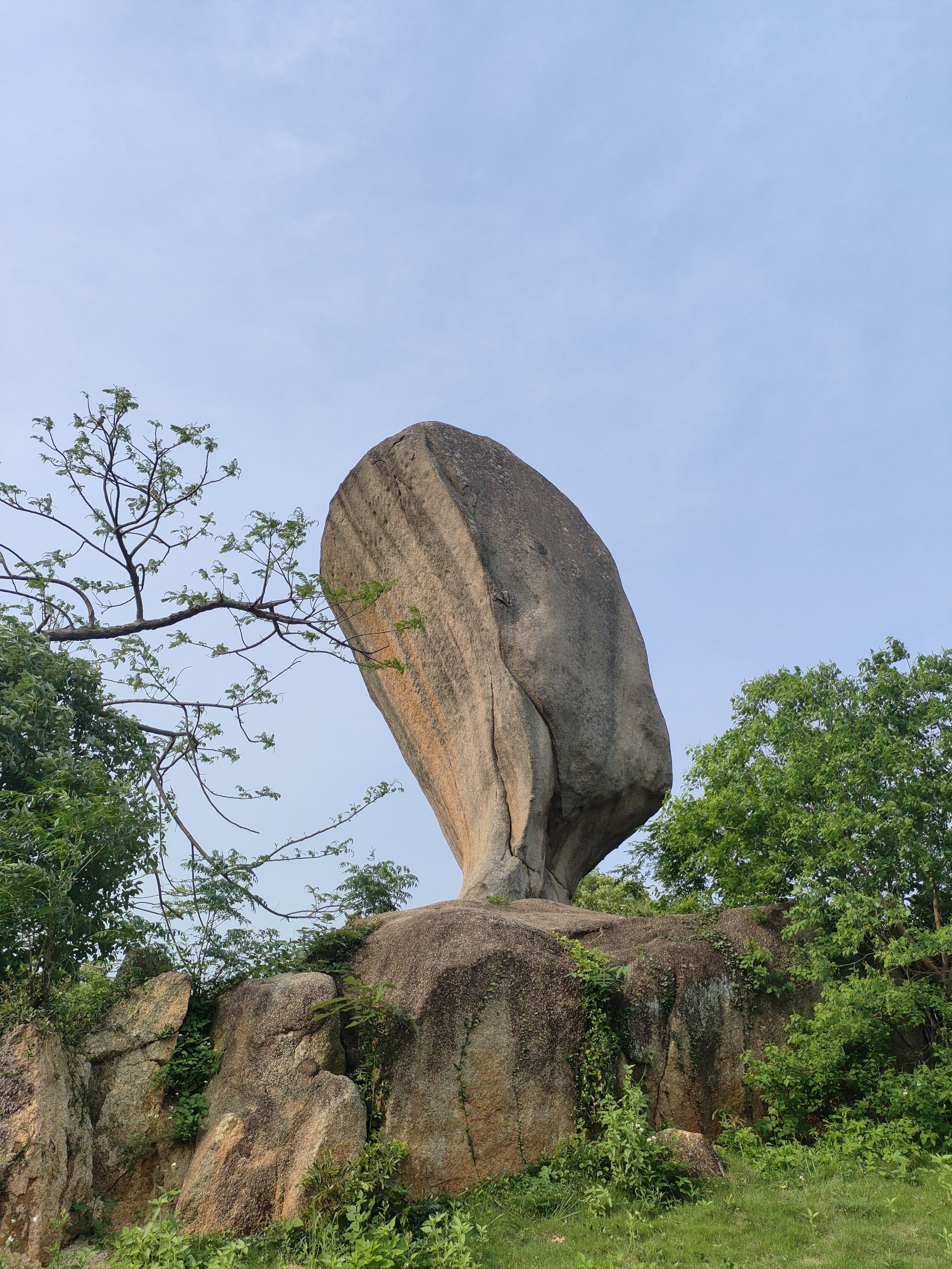 玉笏朝天公园旅行图片 3