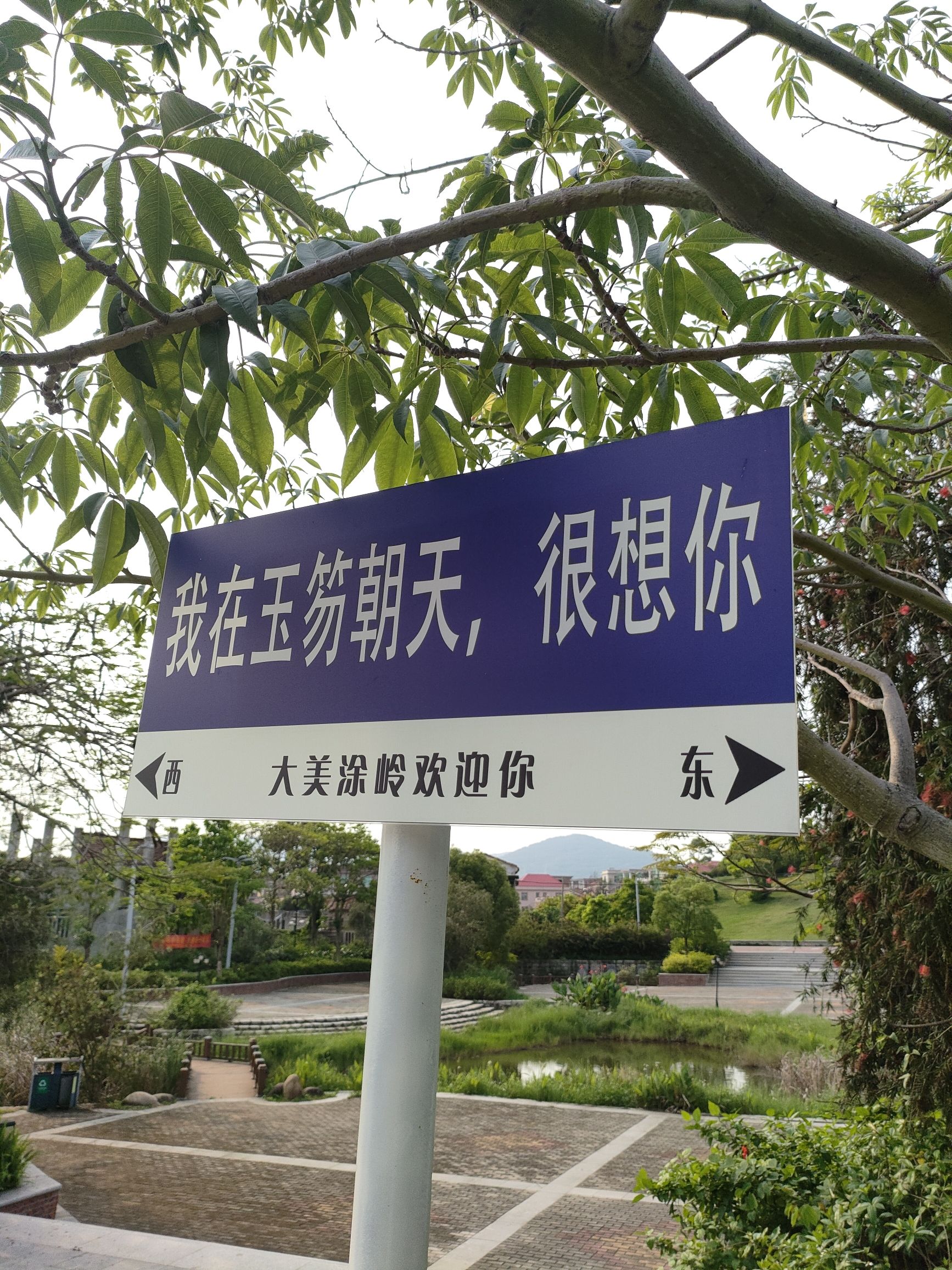 玉笏朝天公园旅行图片 1