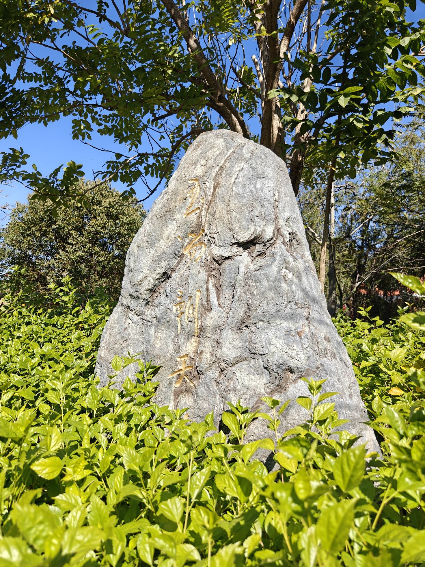 玉笏朝天公园旅行图片 1
