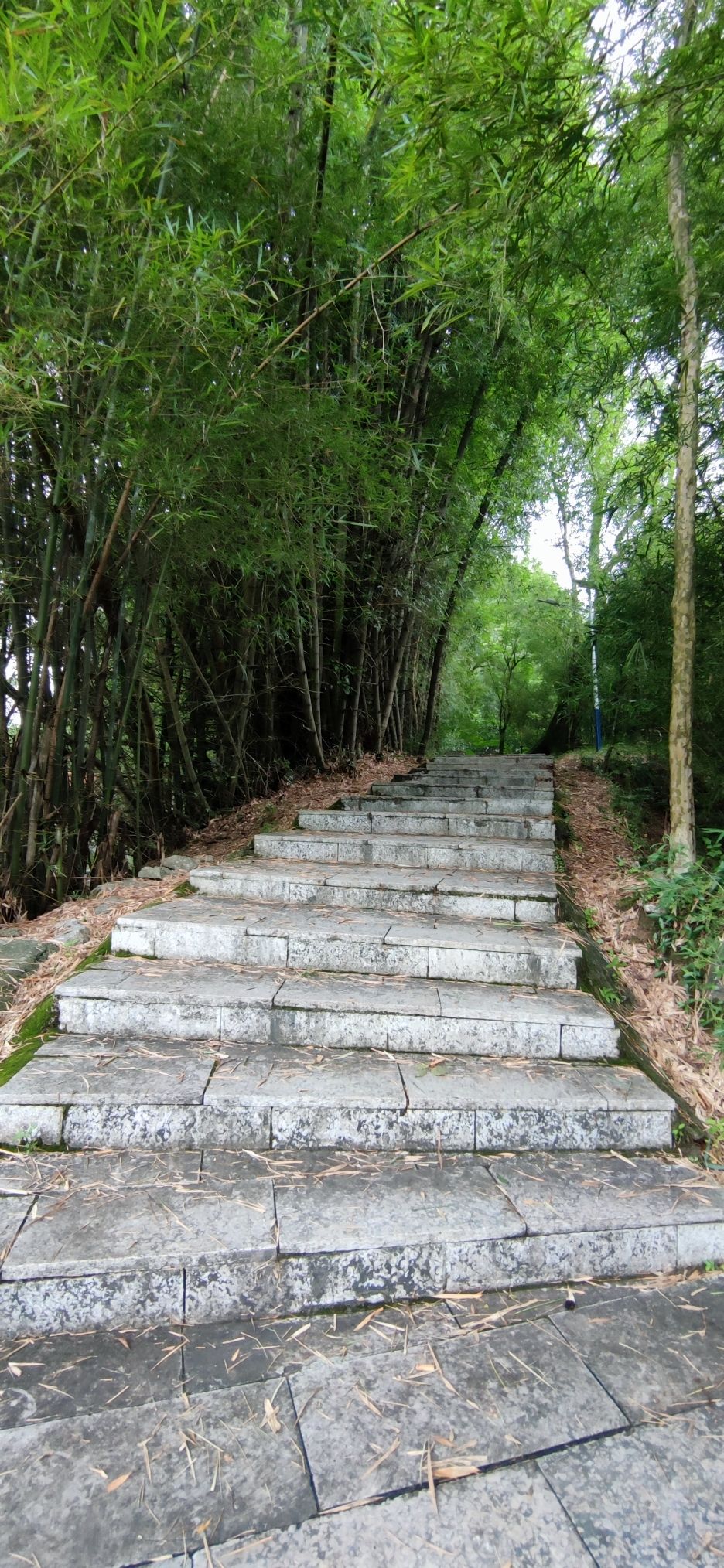 高阳古寨景区旅行图片 3