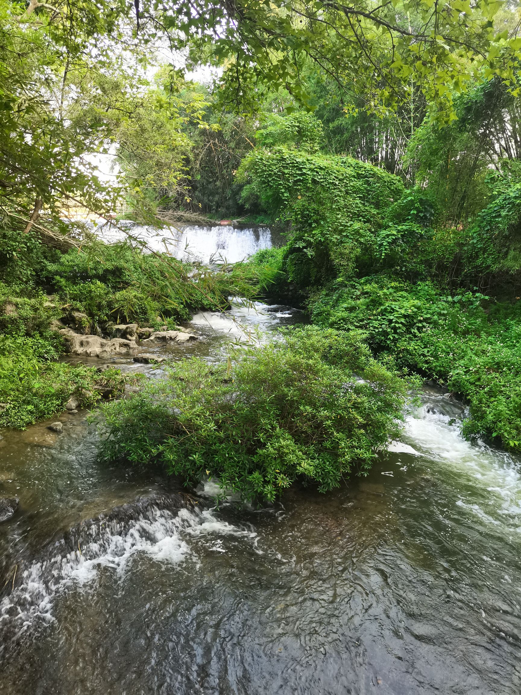 高阳古寨景区旅行图片 1