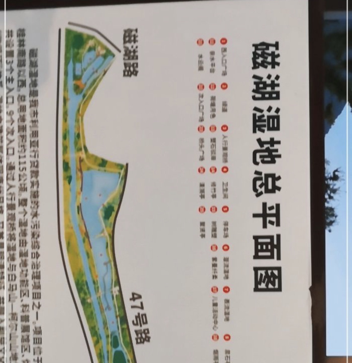 磁湖湿地公园旅行图片 1