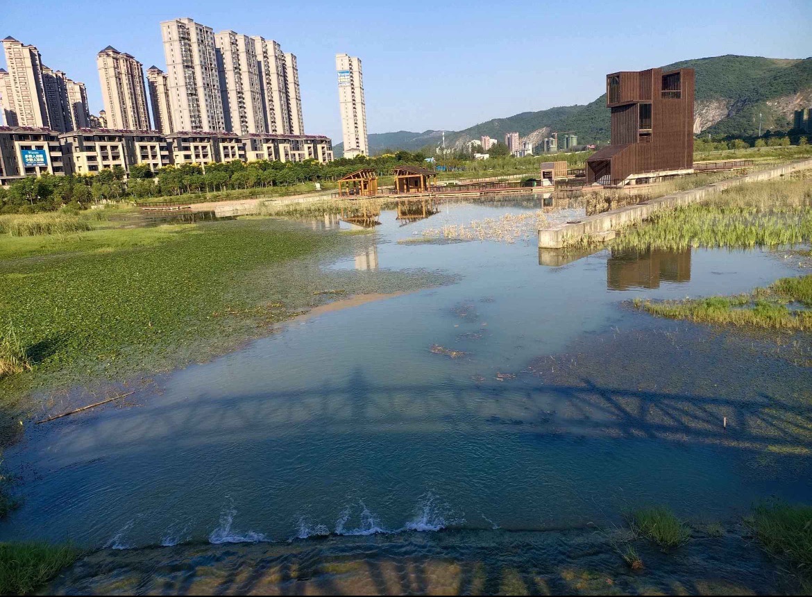 磁湖湿地公园旅行图片 2