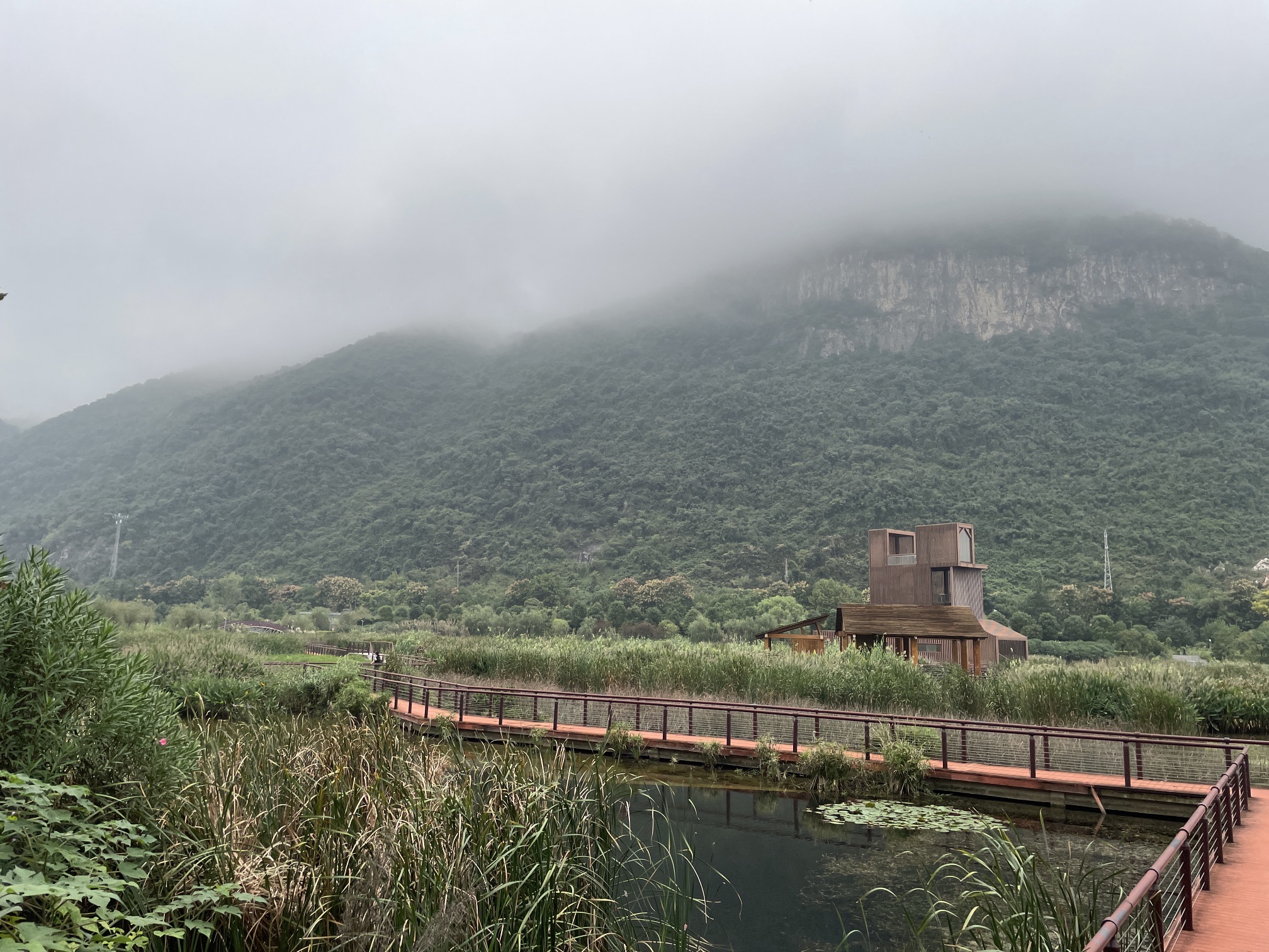 磁湖湿地公园旅行图片 2
