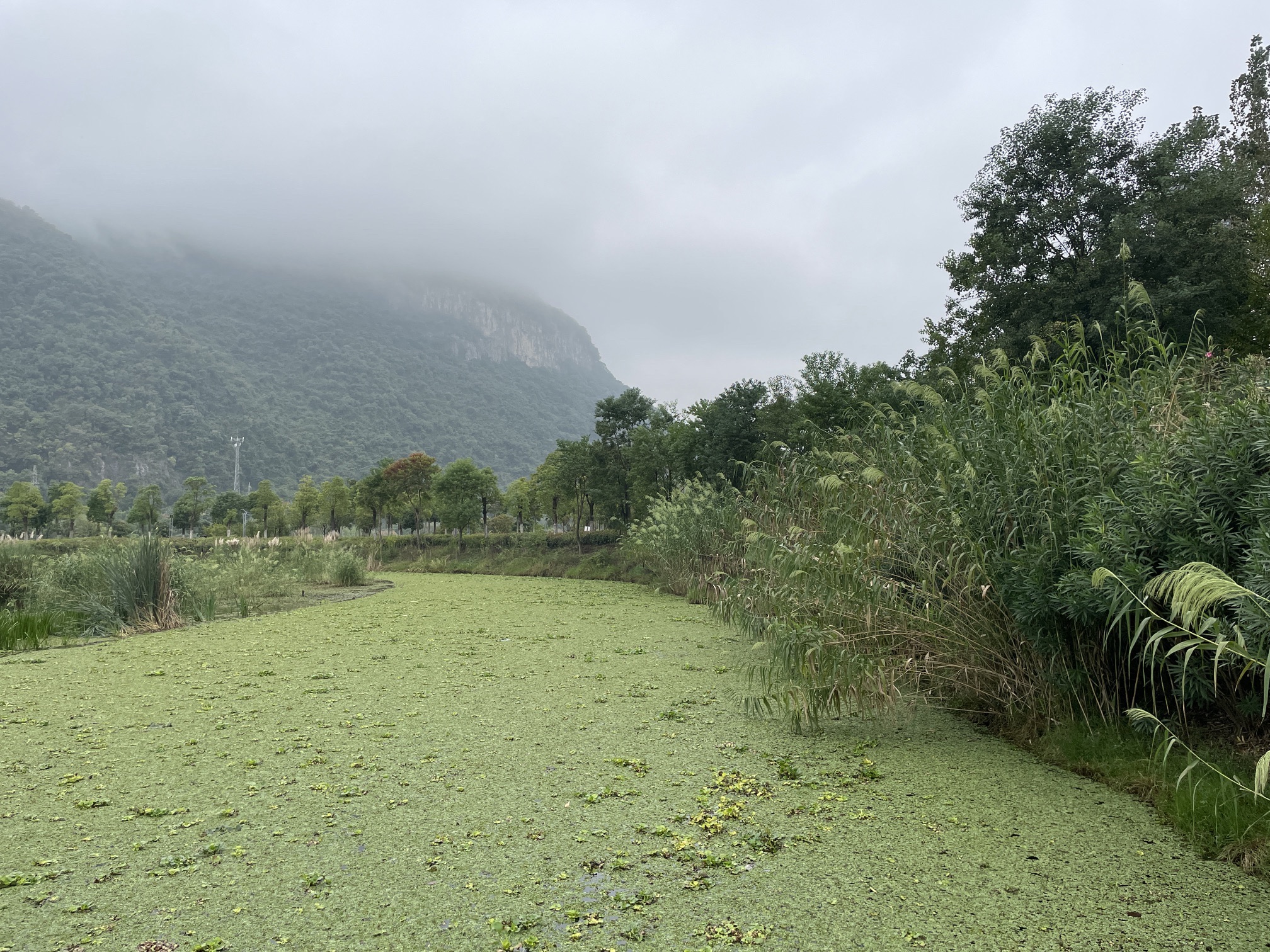 磁湖湿地公园旅行图片 3