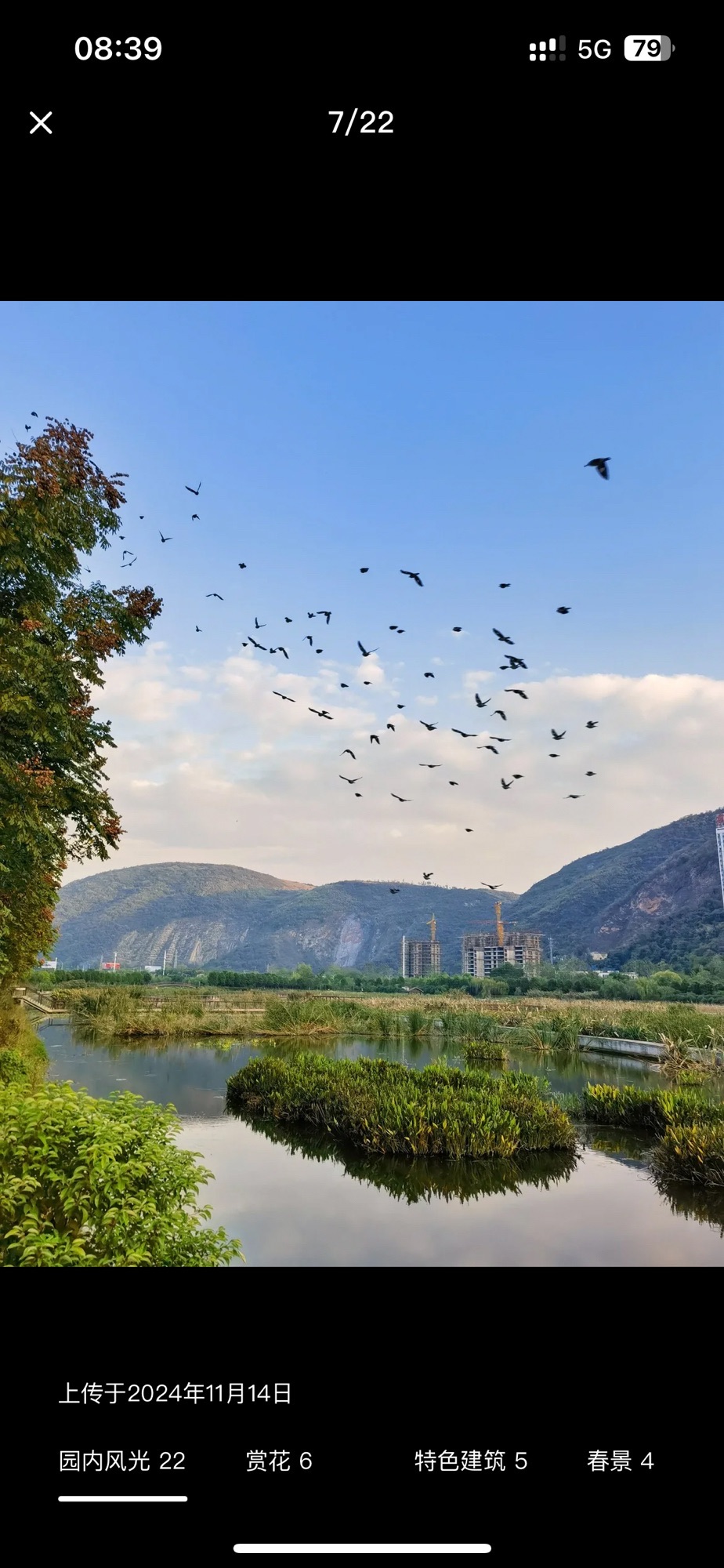 磁湖湿地公园旅行图片 3