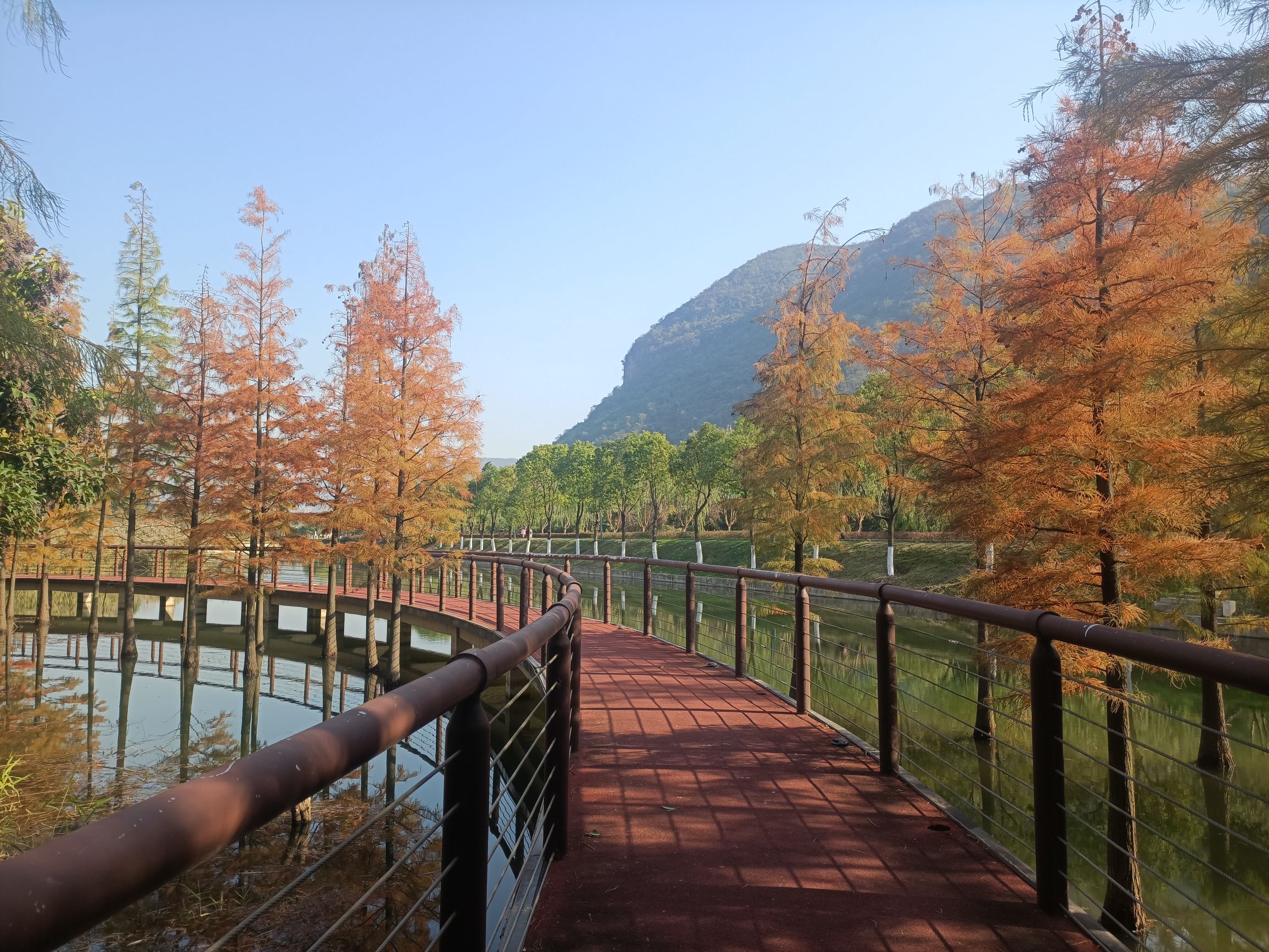 磁湖湿地公园旅行图片 1