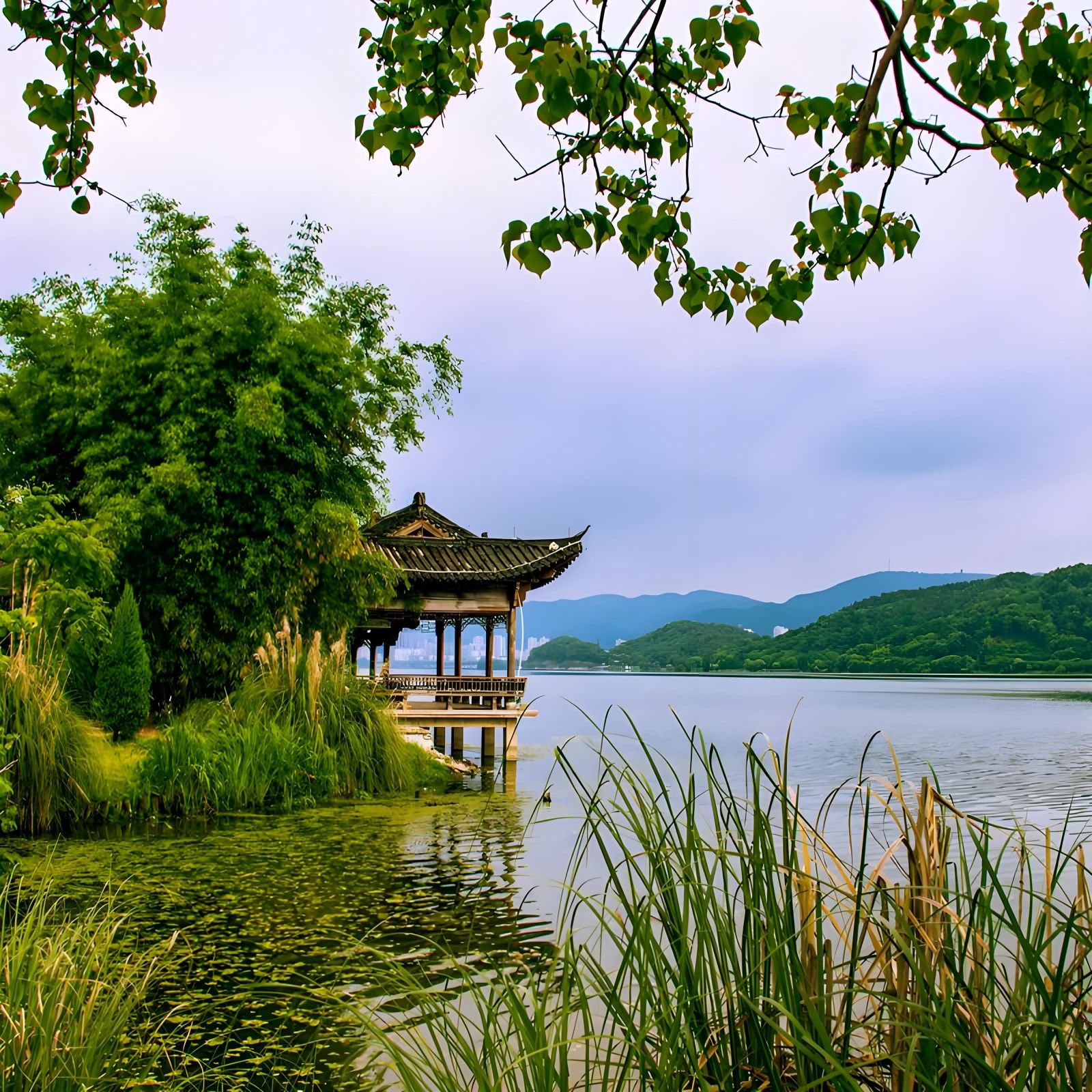 磁湖湿地公园旅行图片 3