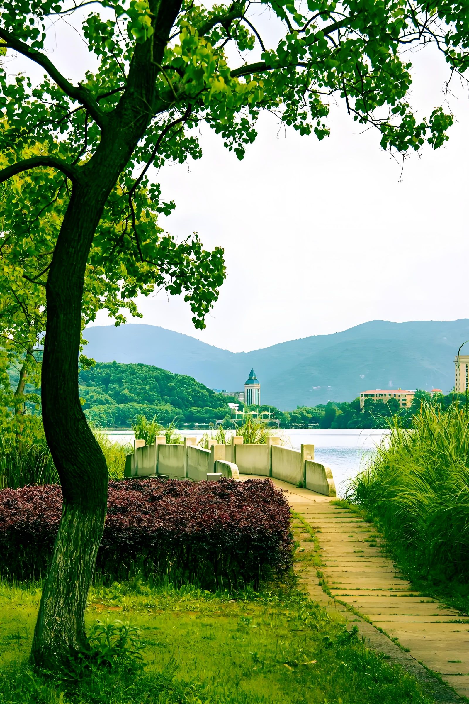 磁湖湿地公园旅行图片 2