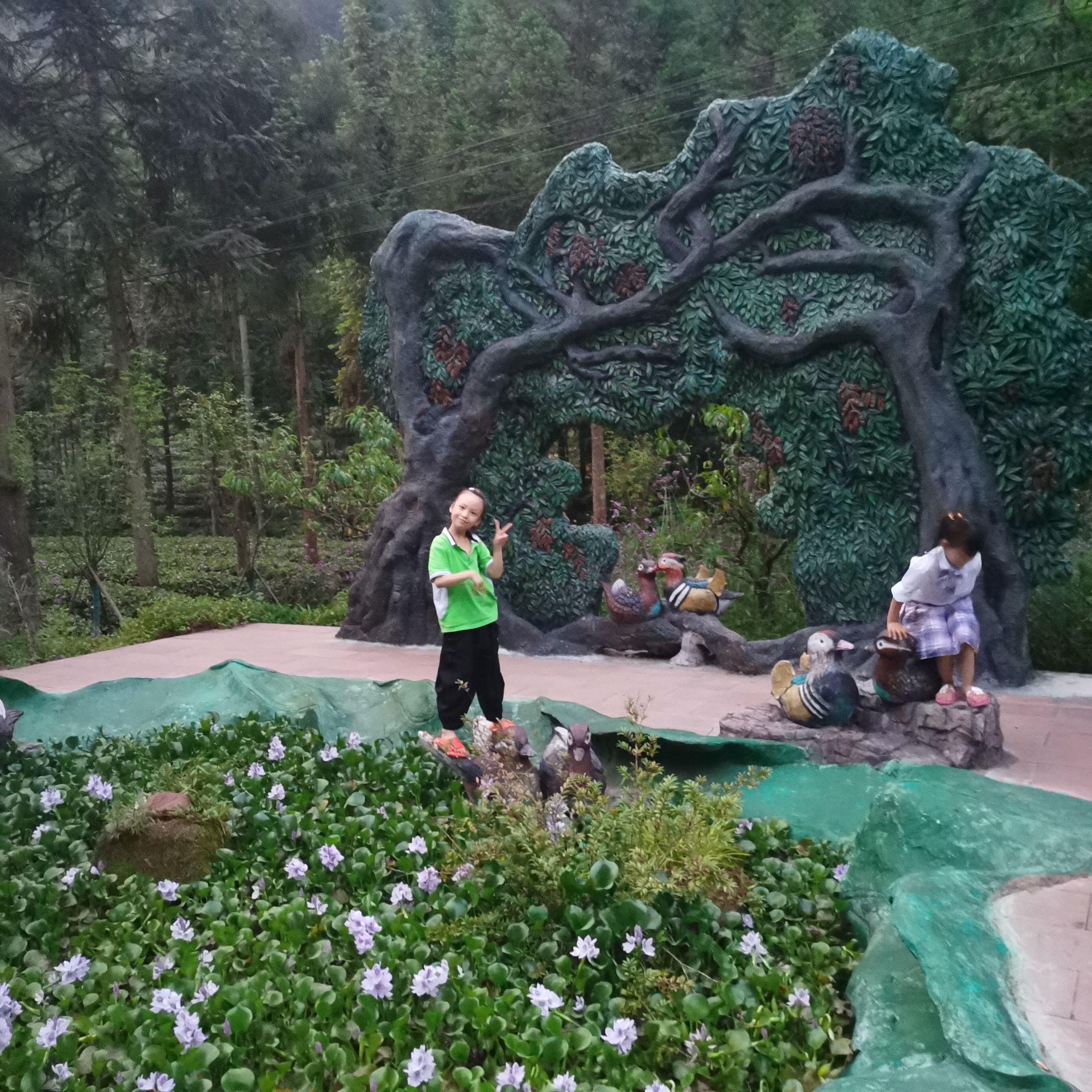 雅安千年红豆树旅行图片 3