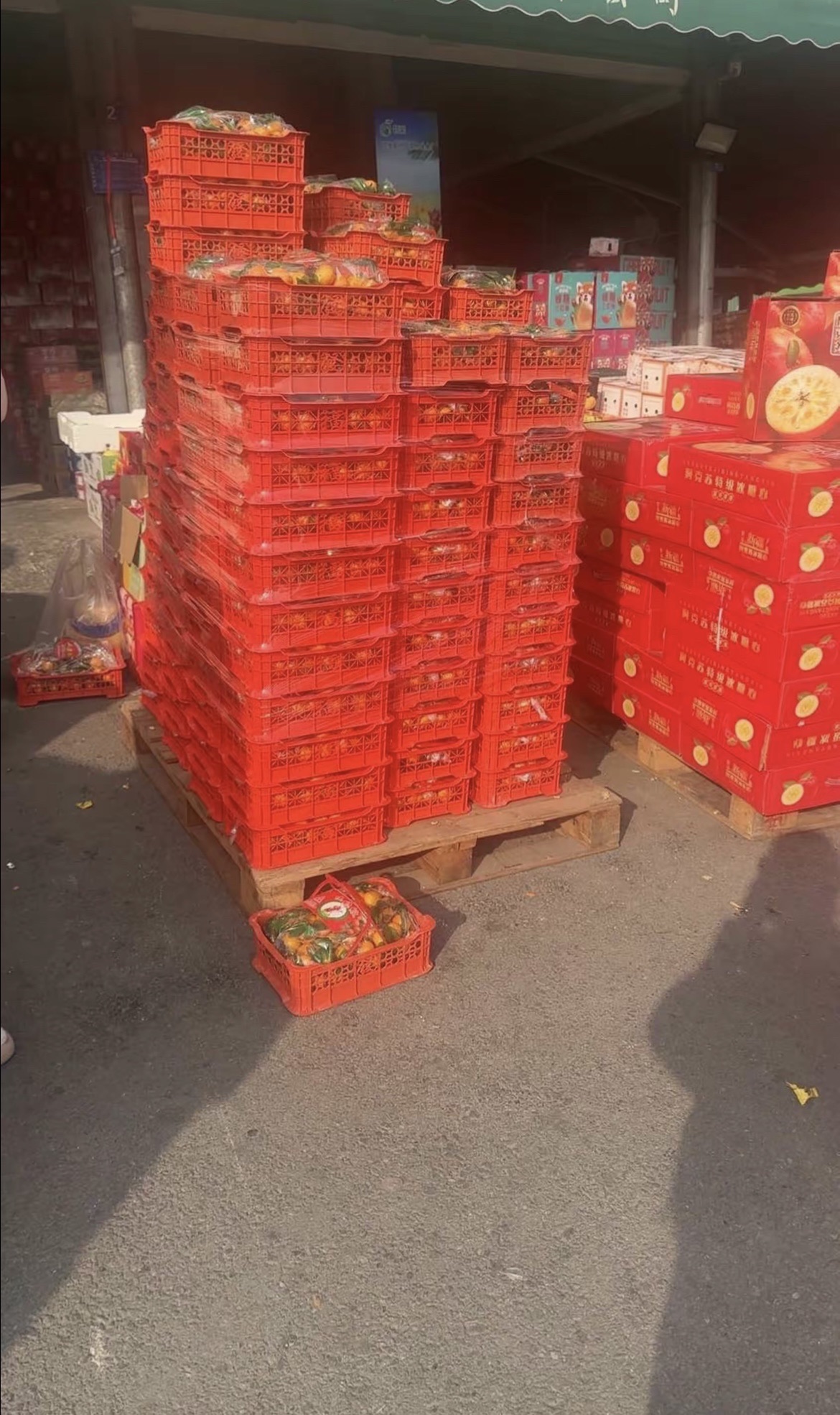 楠楠果业精品水果批发(淮南安成建材家具市场店)