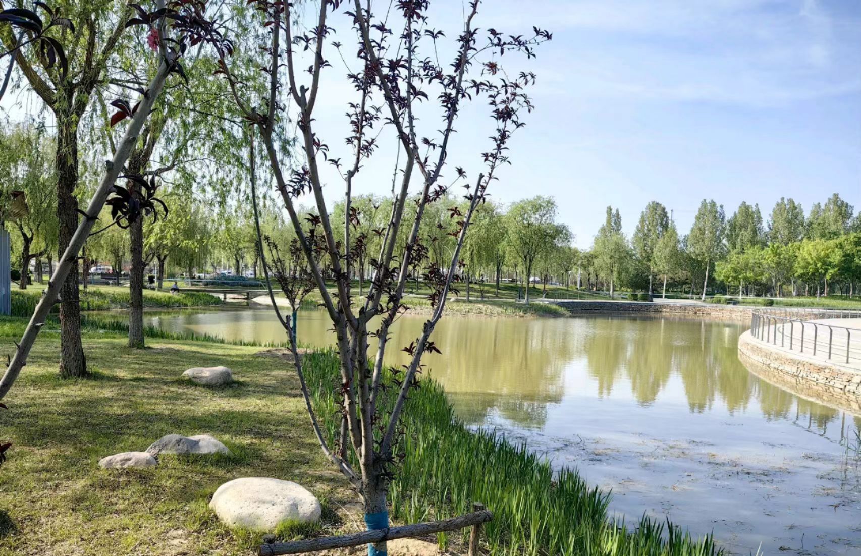 颛顼公园旅行图片 3
