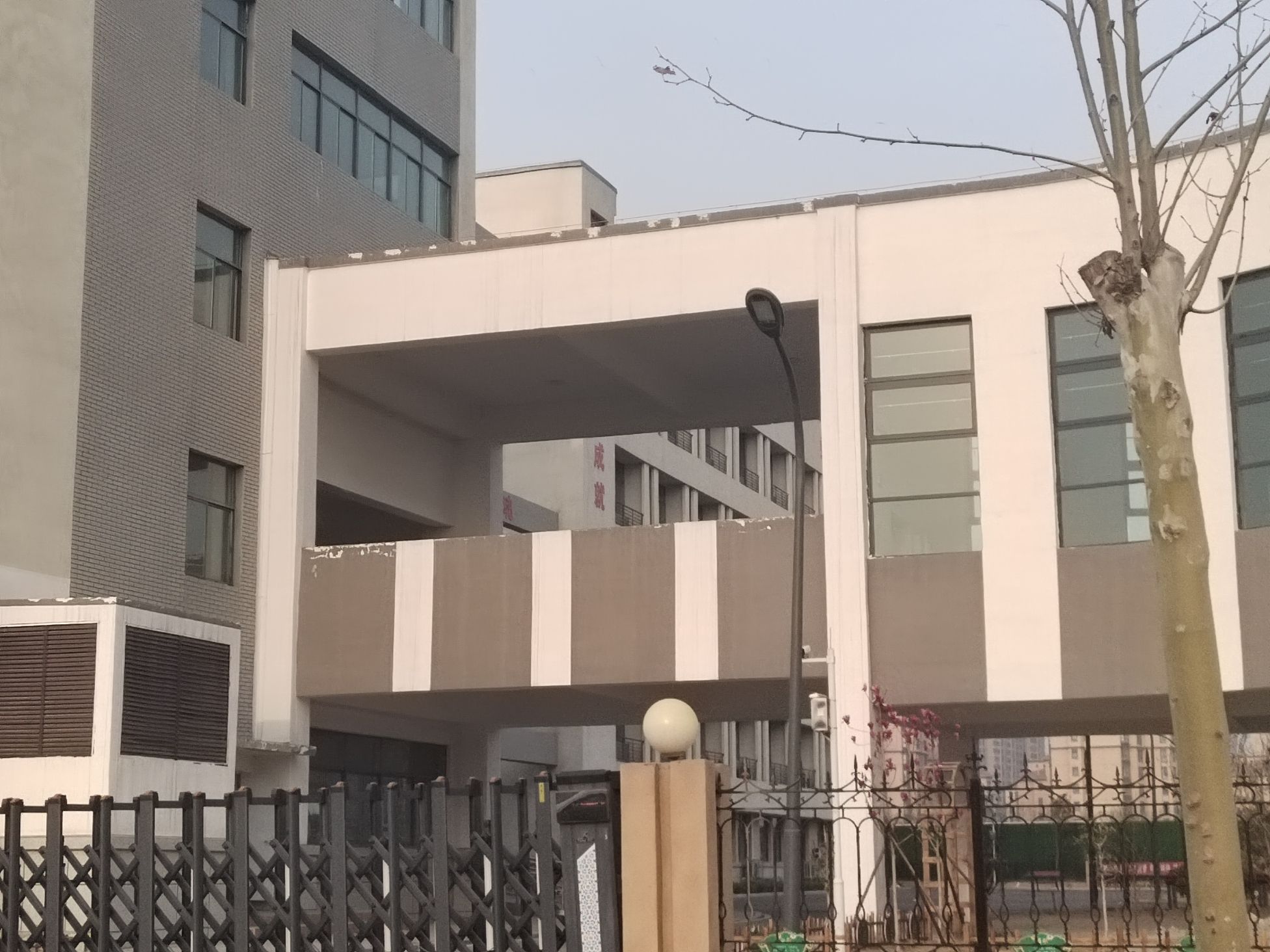 焦作市山阳区人民路小学