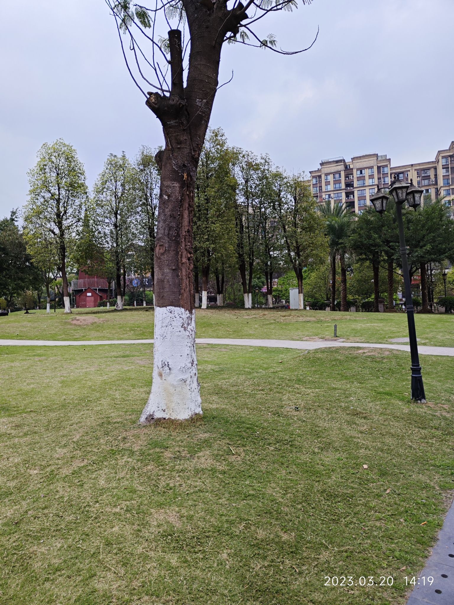 兰卡公园旅行图片 2