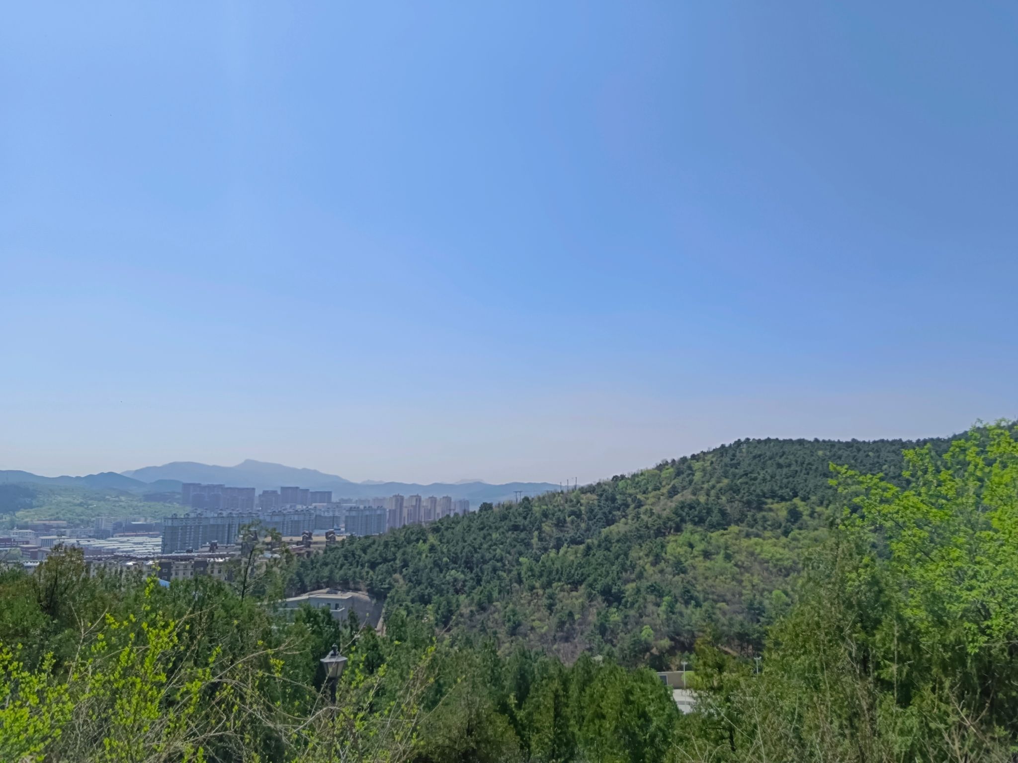 山戎文化森林公园旅行图片 1