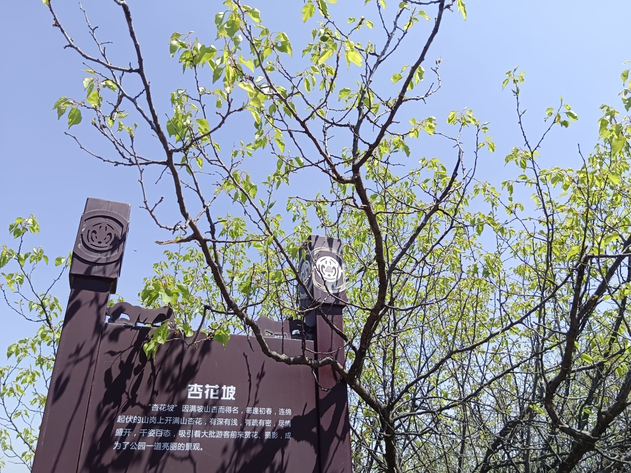 山戎文化森林公园旅行图片 2
