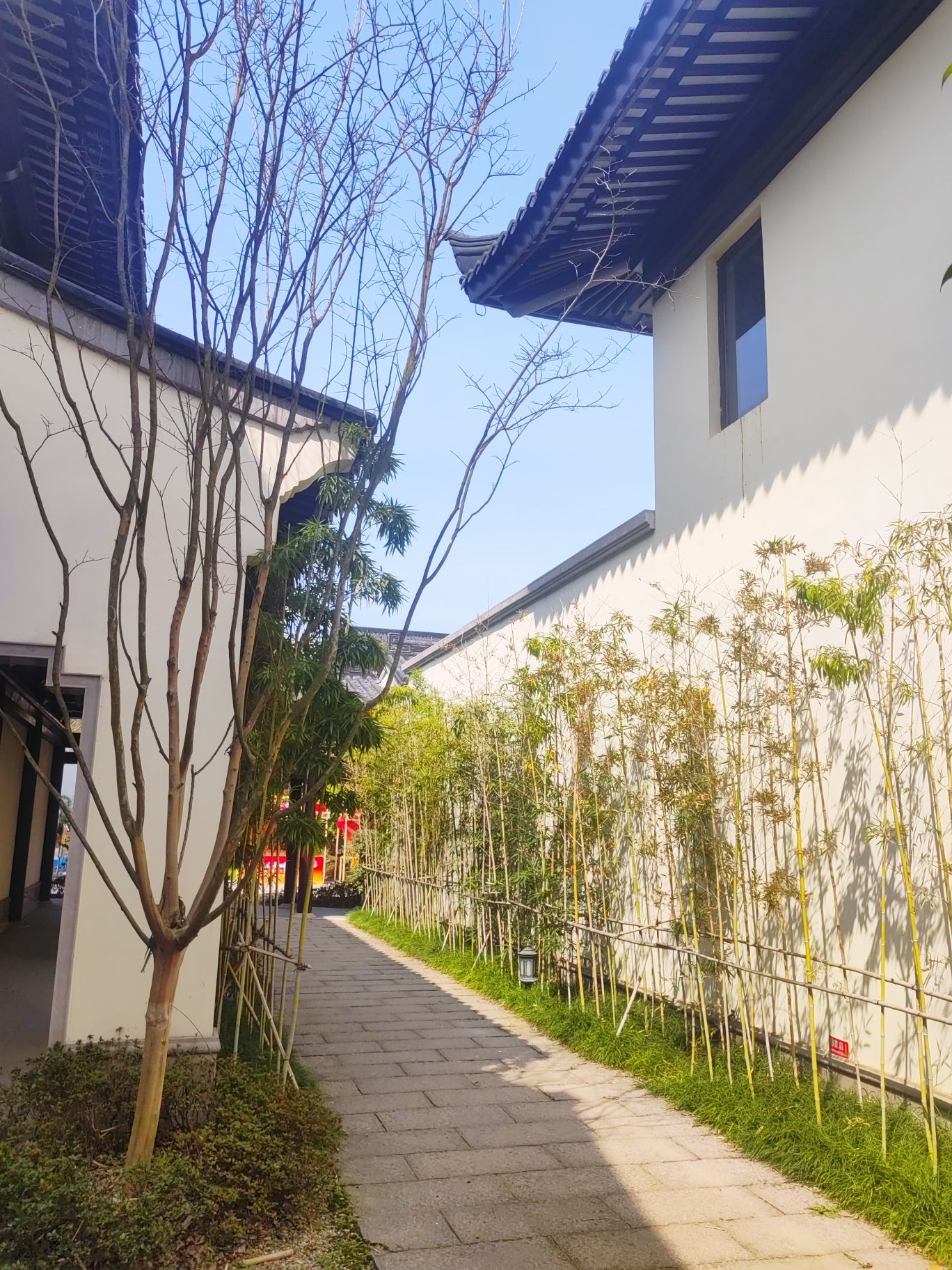 越剧小镇旅行图片 2