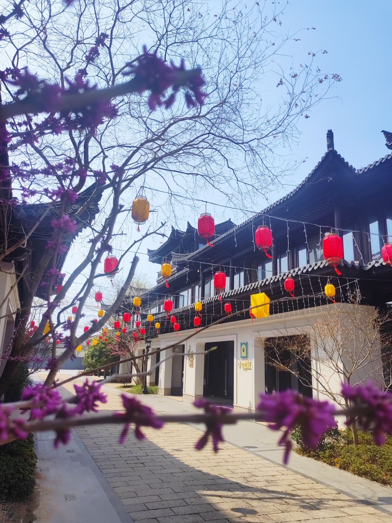越剧小镇旅行图片 3