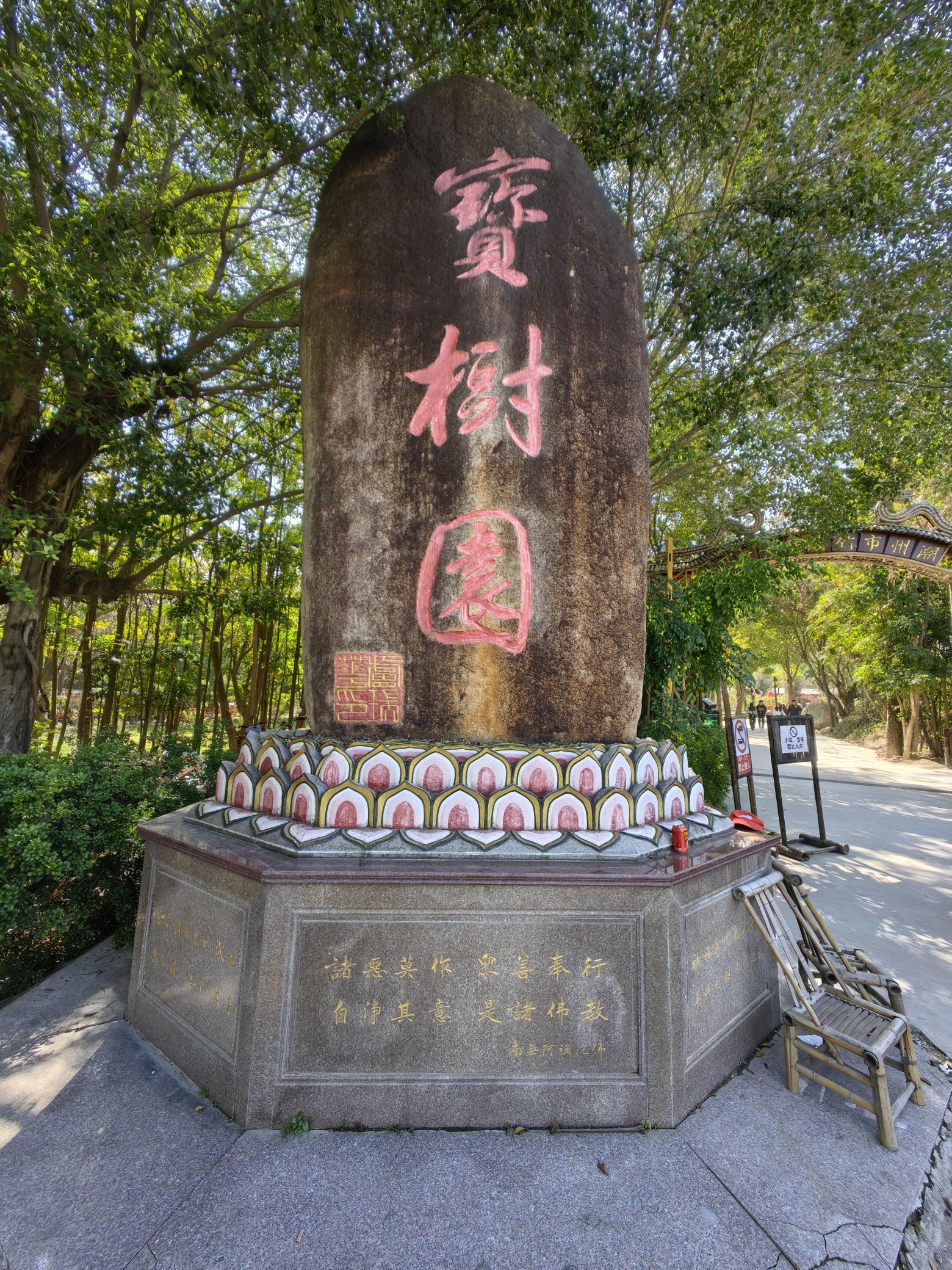 黄河宝树园景点图片