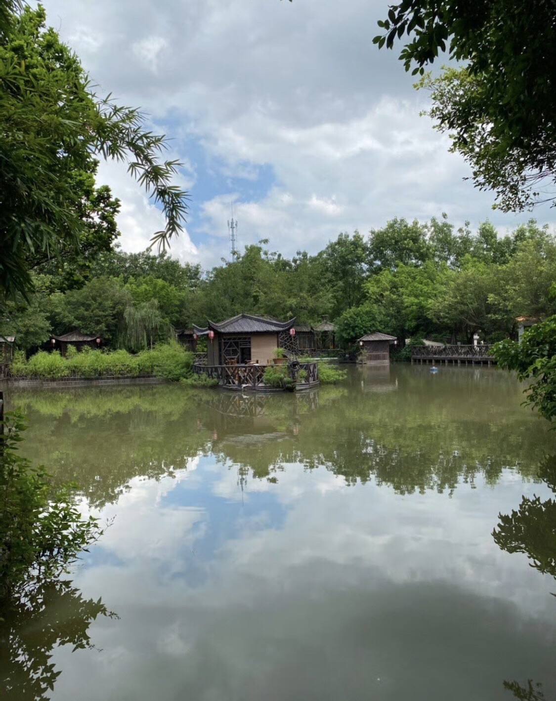 黄河宝树园旅行图片 2