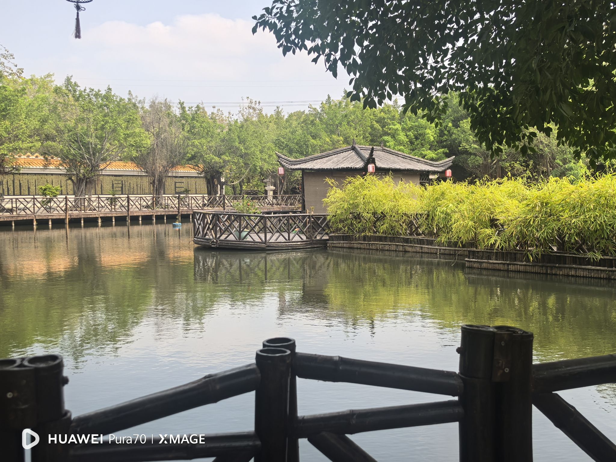 黄河宝树园旅行图片 2