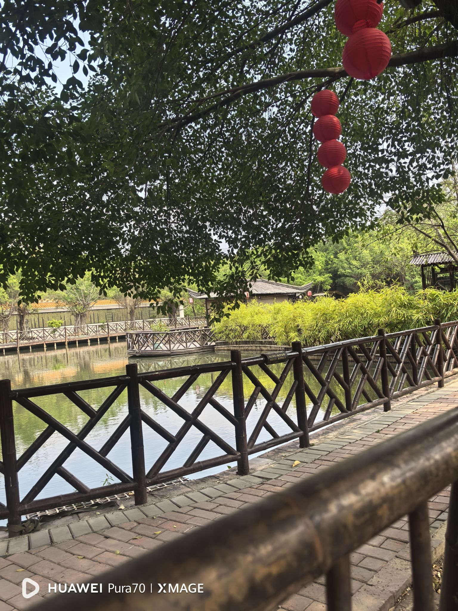 黄河宝树园旅行图片 3