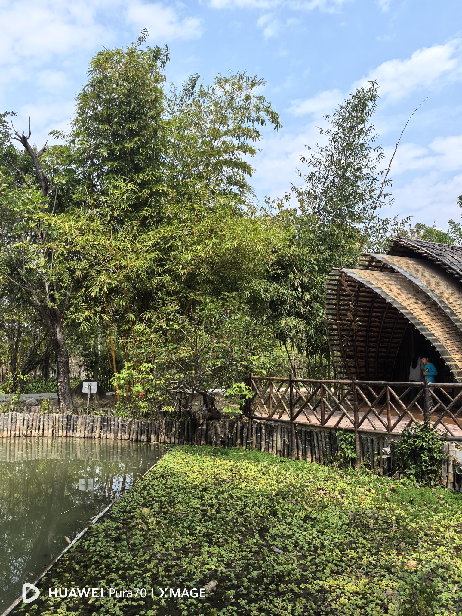 黄河宝树园旅行图片 1