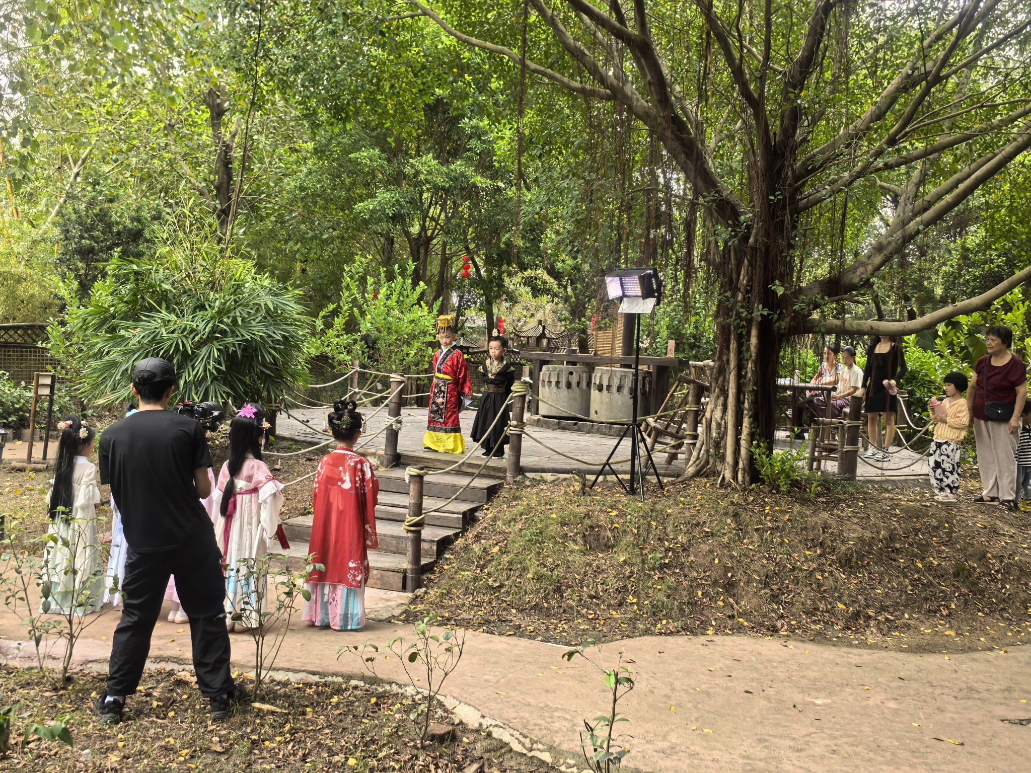 黄河宝树园旅行图片 2