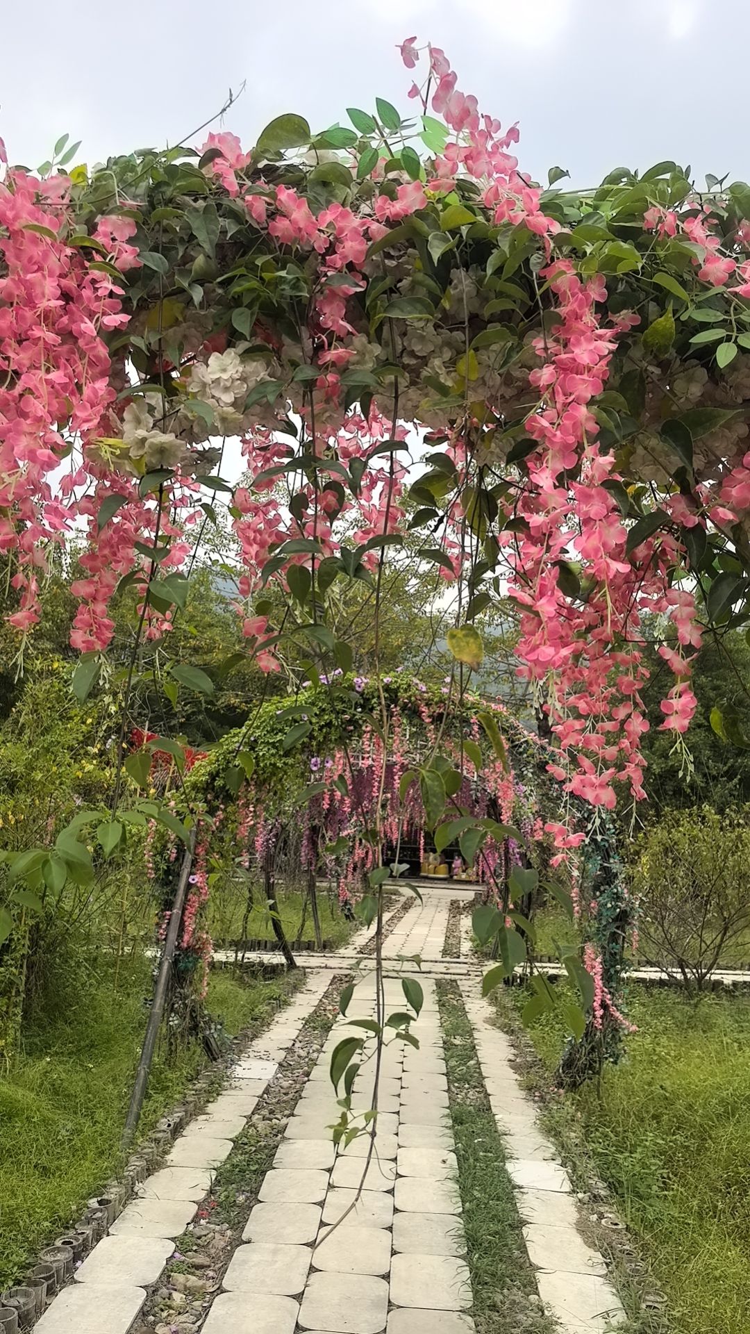 黄河宝树园旅行图片 3