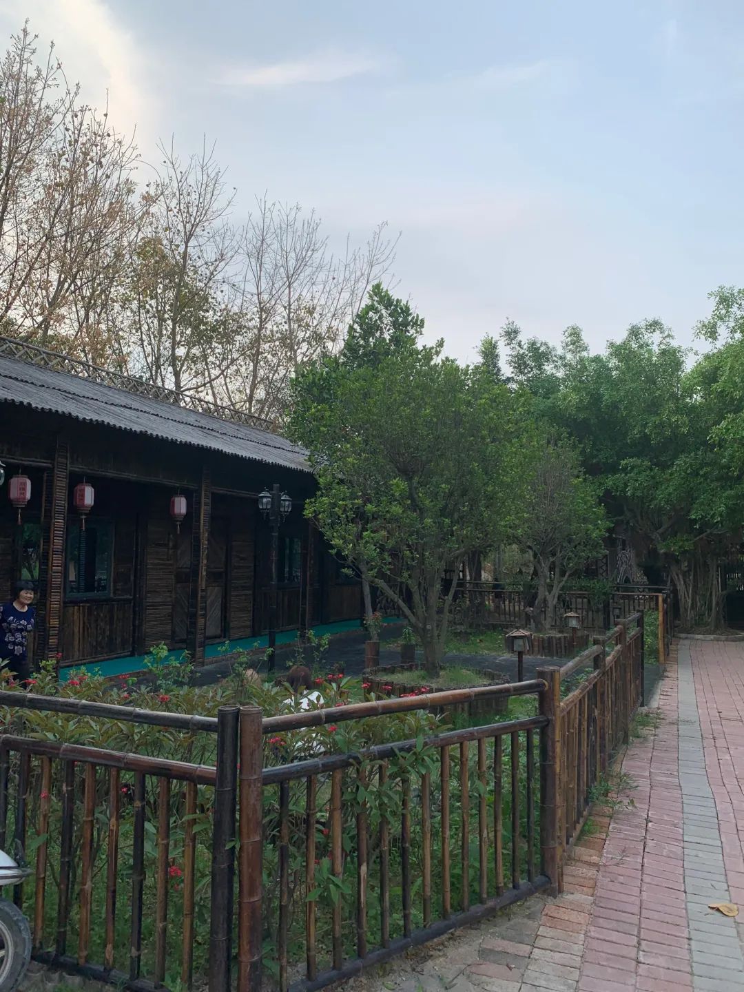 黄河宝树园旅行图片 2